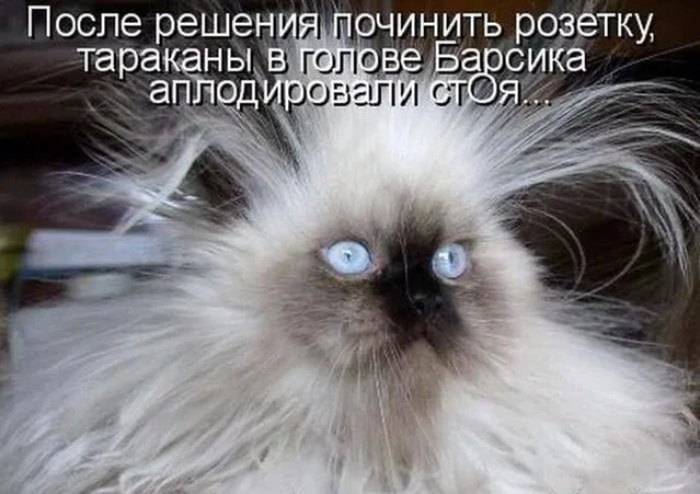 IMG_1648.webp