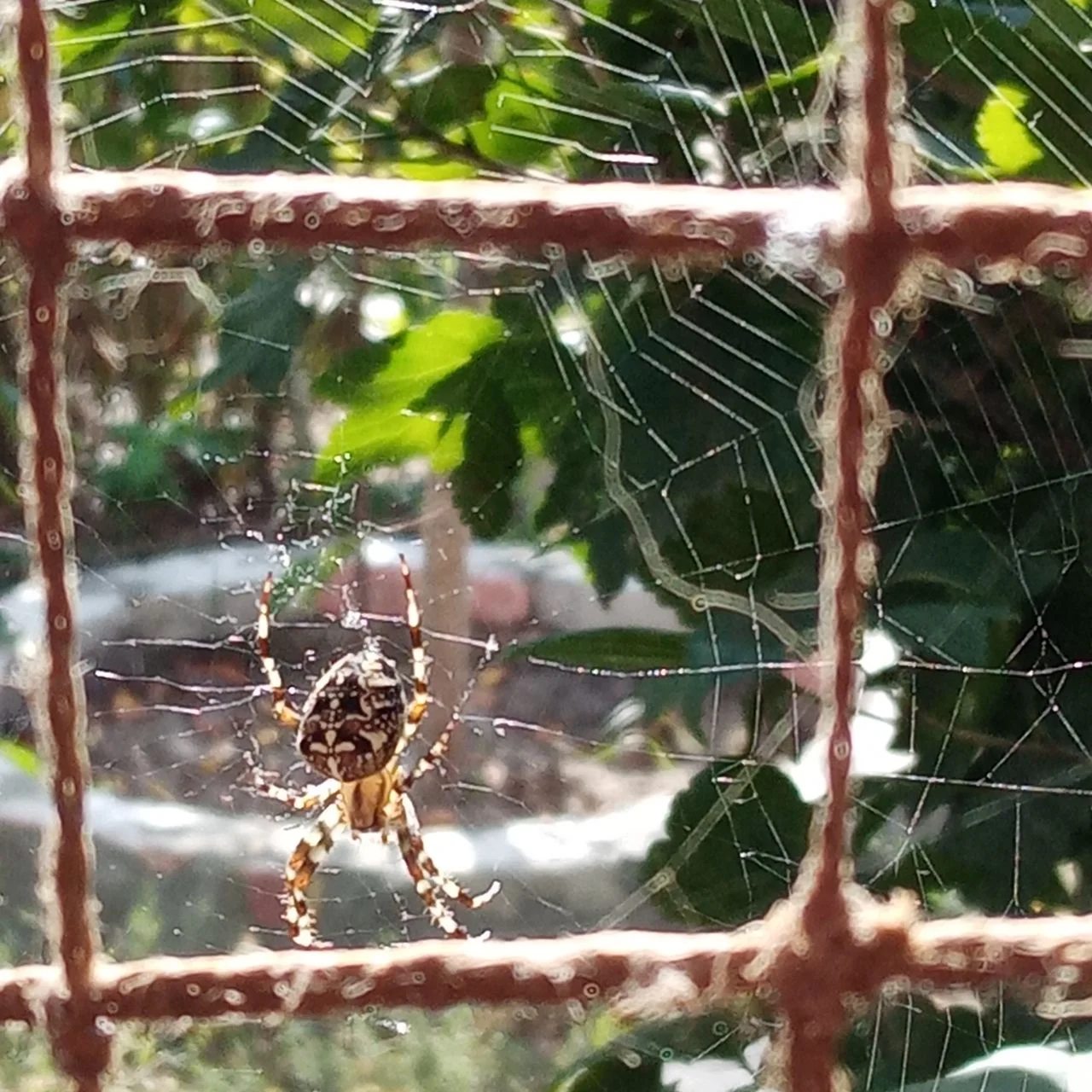 img_1662-webp.2222931