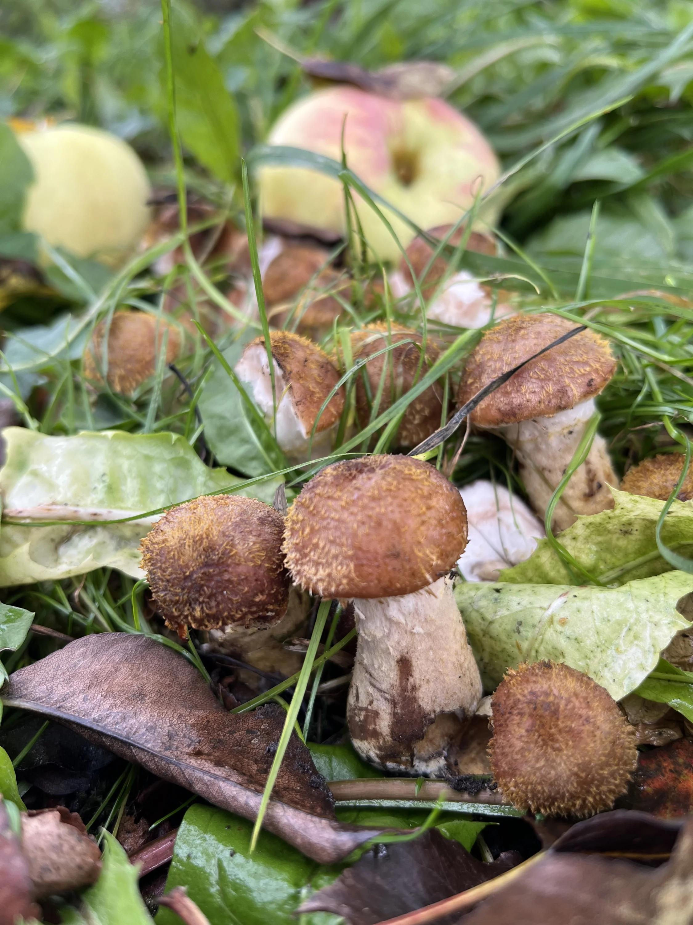 img_1676-webp.2222930