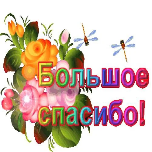 IMG_1729.webp