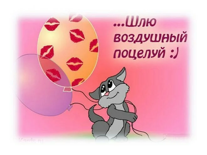 IMG_20151003_202258_501.webp