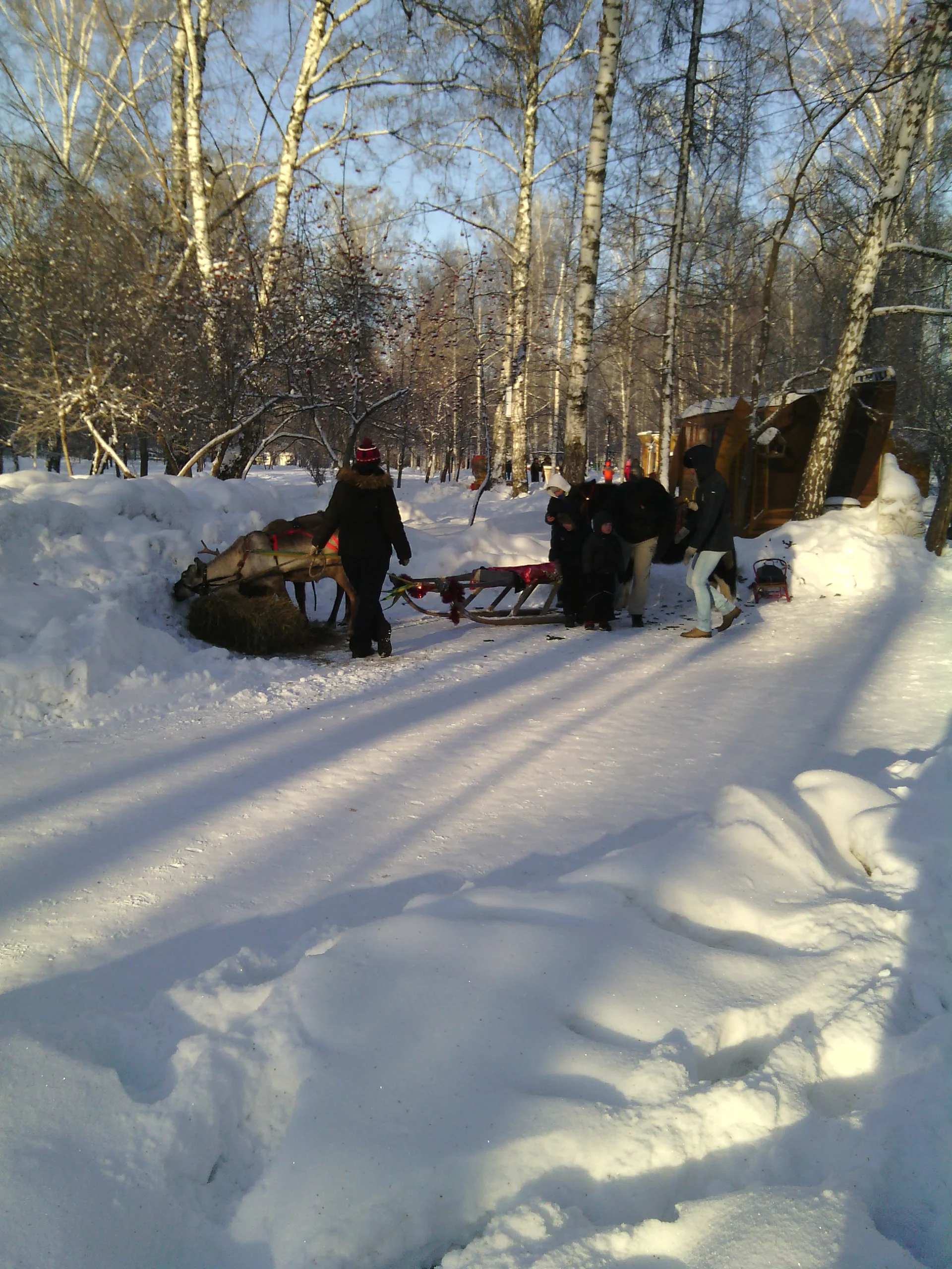 IMG_20160102_135449.webp