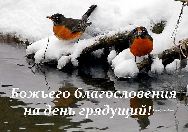 IMG_20160121_084813_1.webp