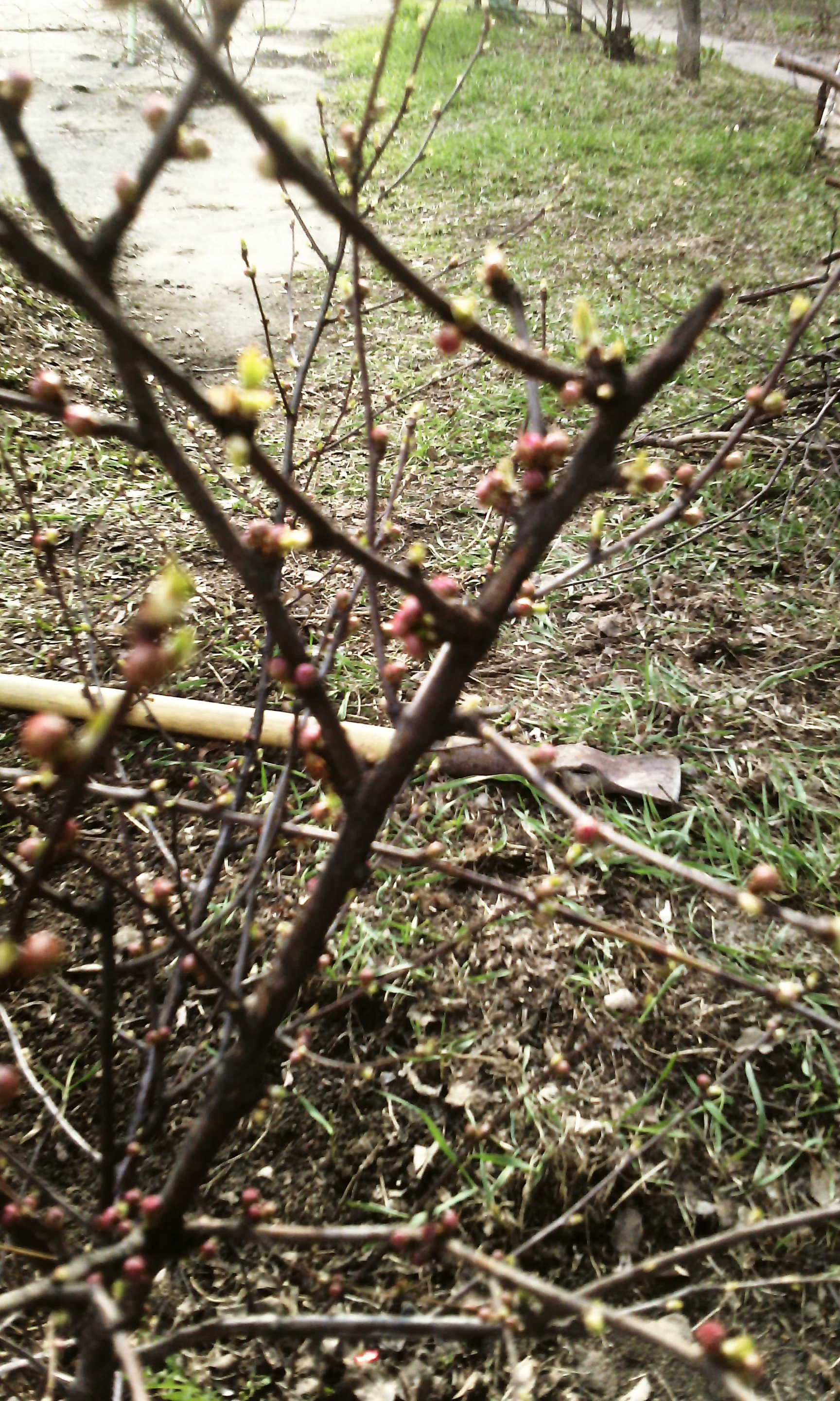 IMG_20160423_172700 copy.webp