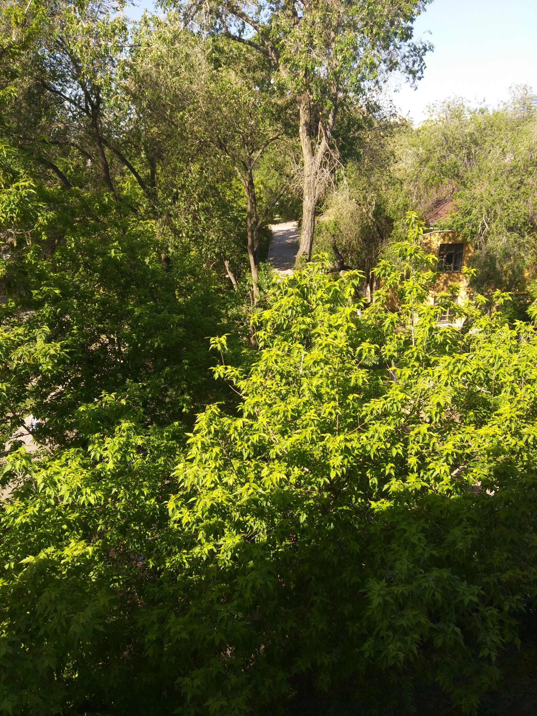 IMG_20160526_090046.webp