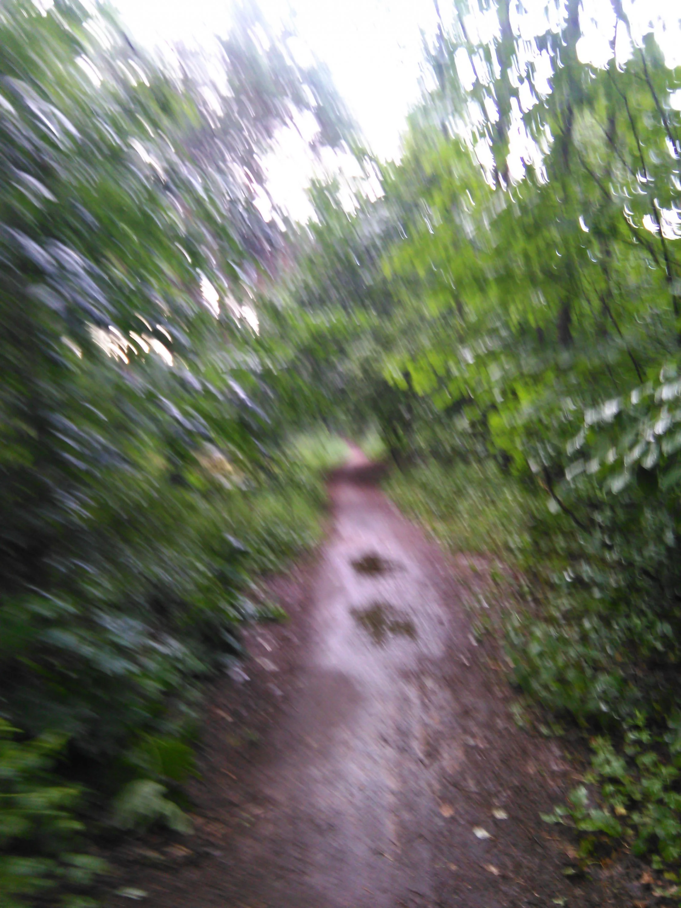 IMG_20160704_201028.webp