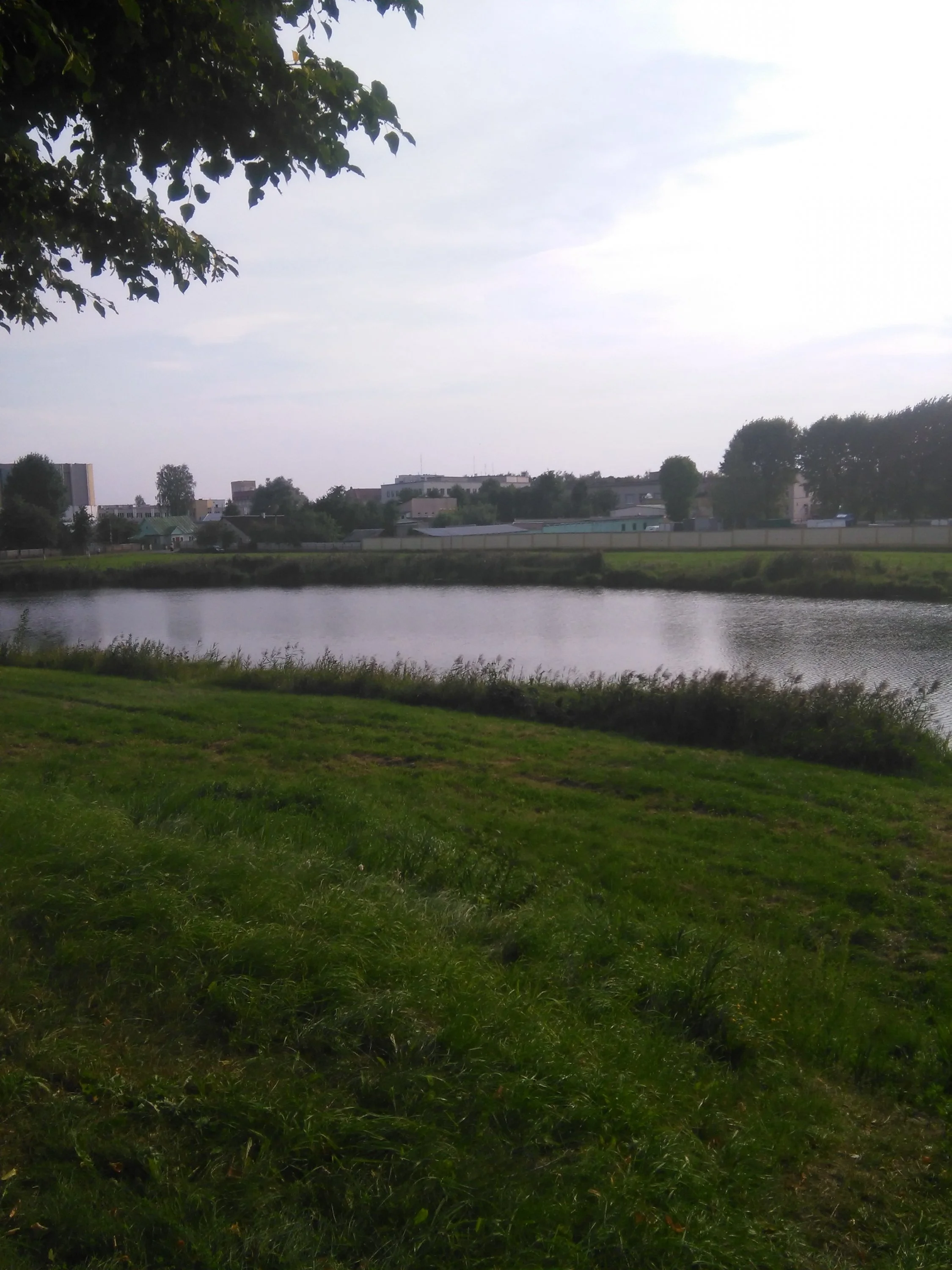 IMG_20160821_175220.webp