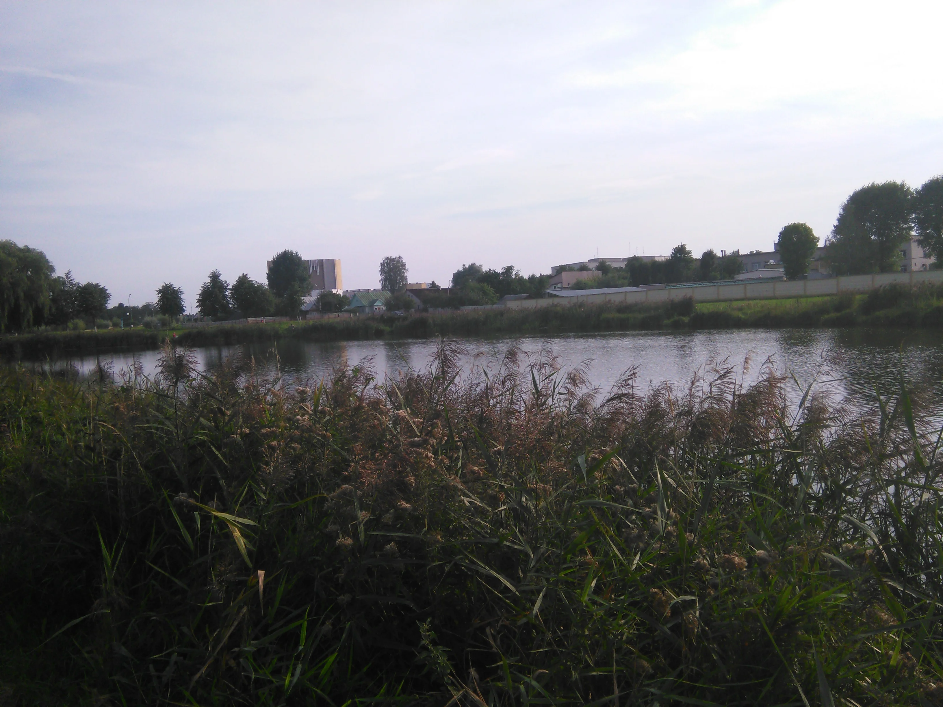 IMG_20160821_175624.webp