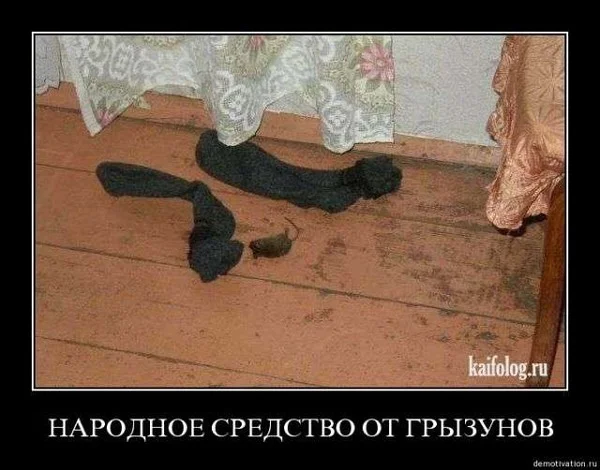 IMG_20160908_122910[1] (1).webp