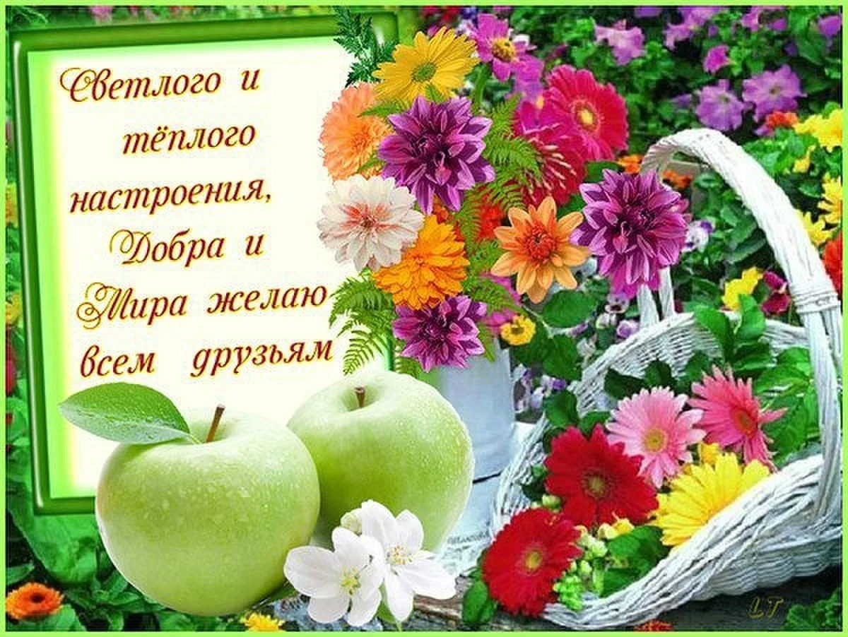 IMG_20160912_194702_0.webp