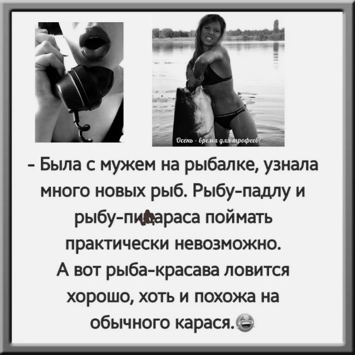 IMG_20160917_174129_0.webp