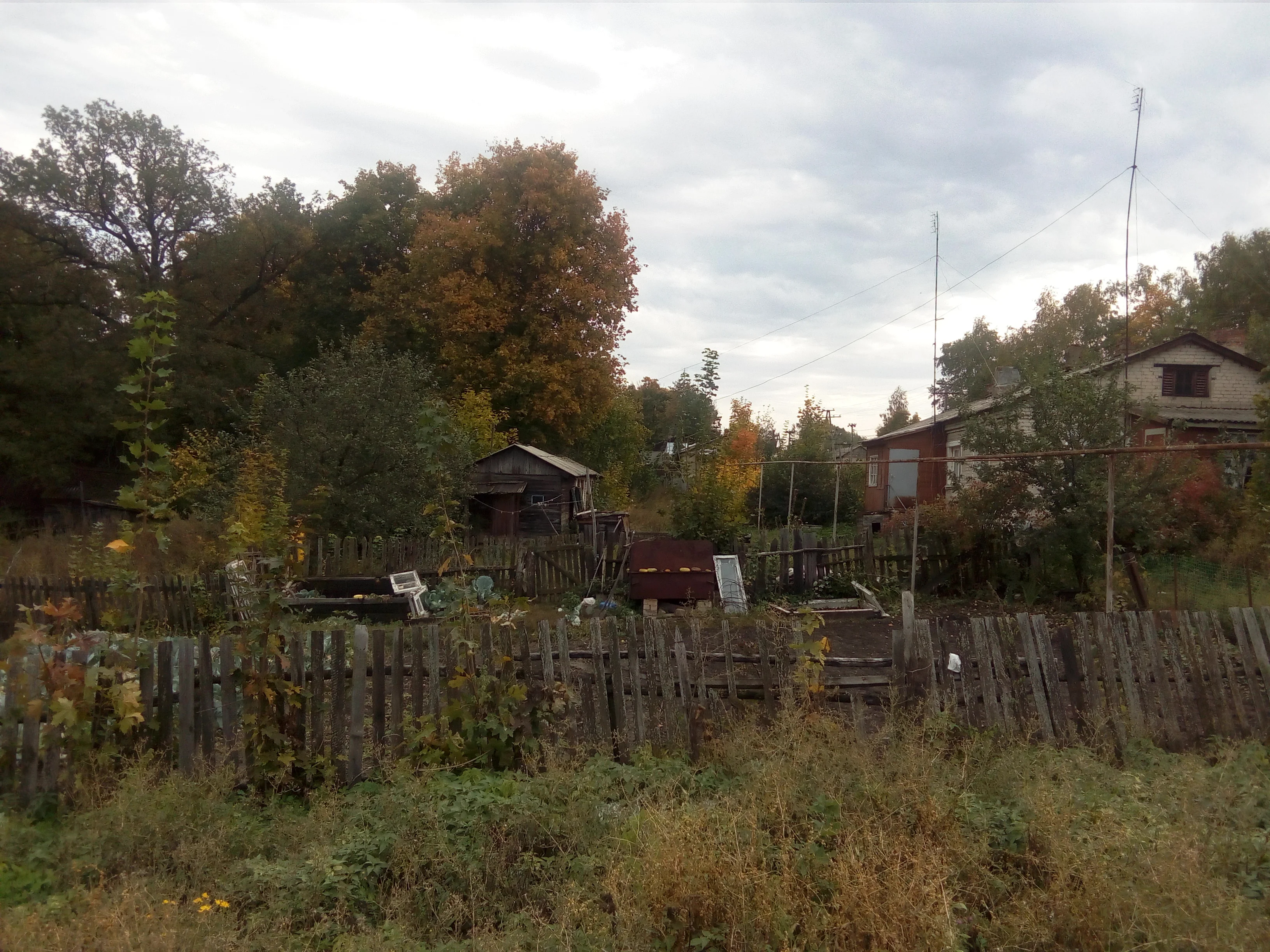 IMG_20160924_121642.webp