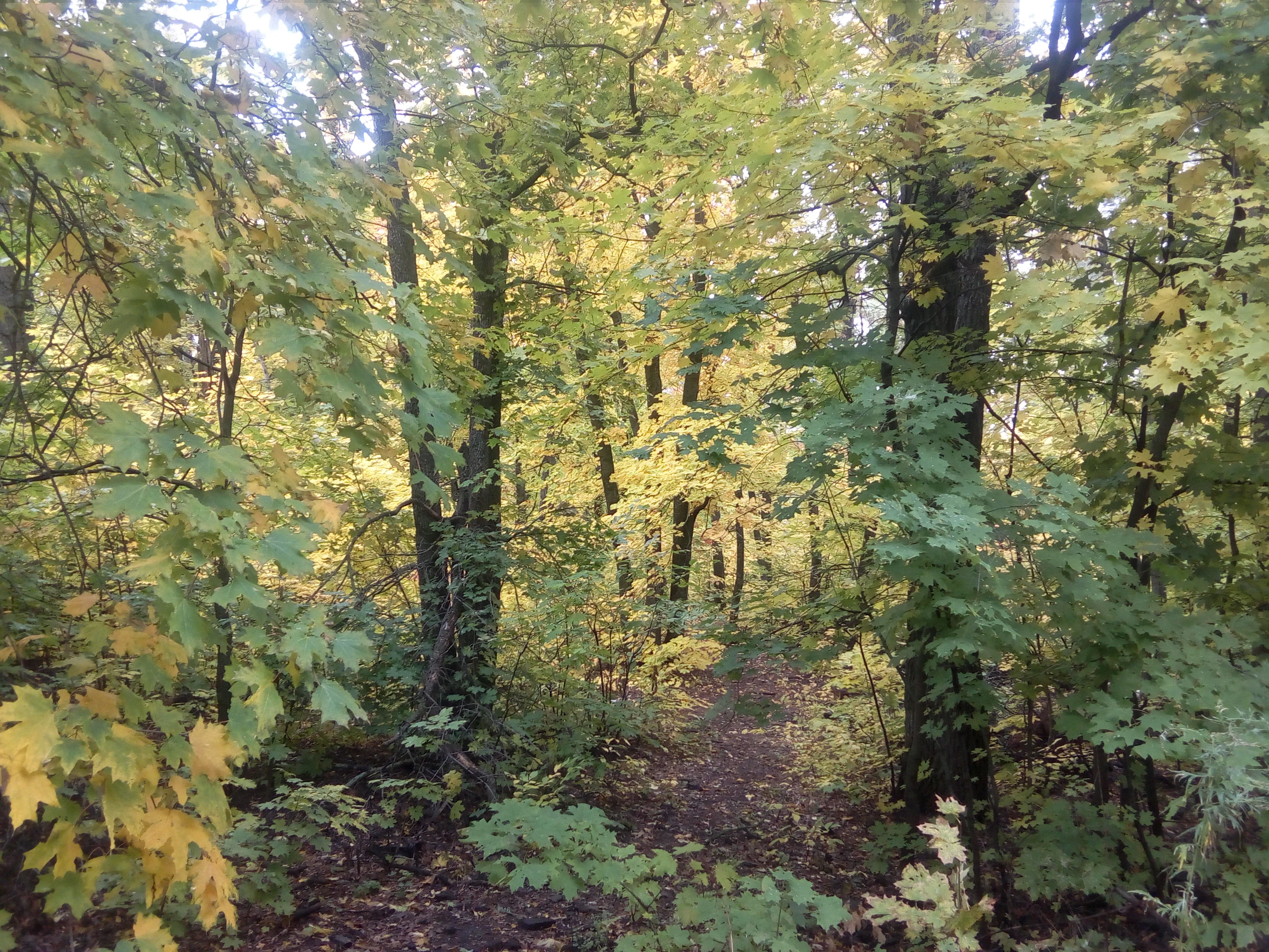 IMG_20160924_121940.webp