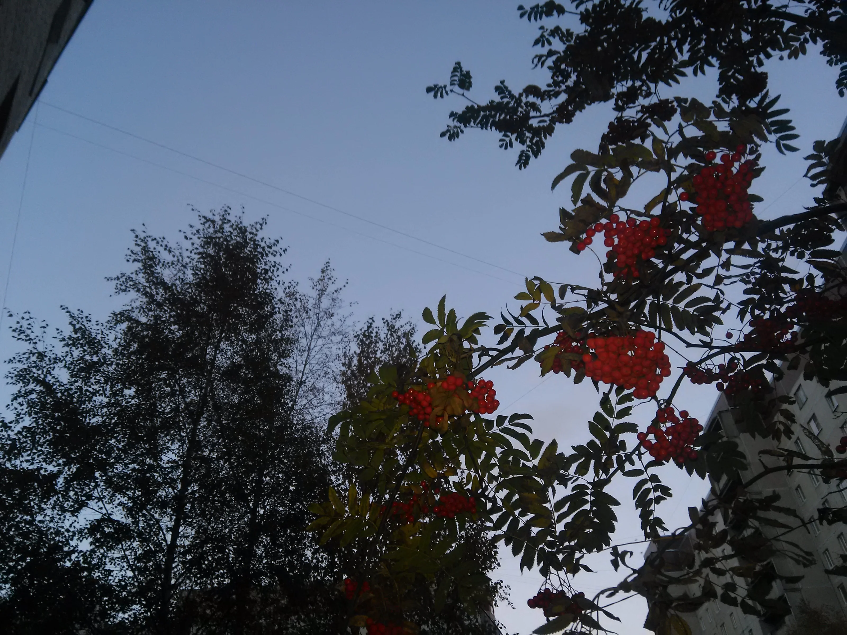 IMG_20161015_175919.webp