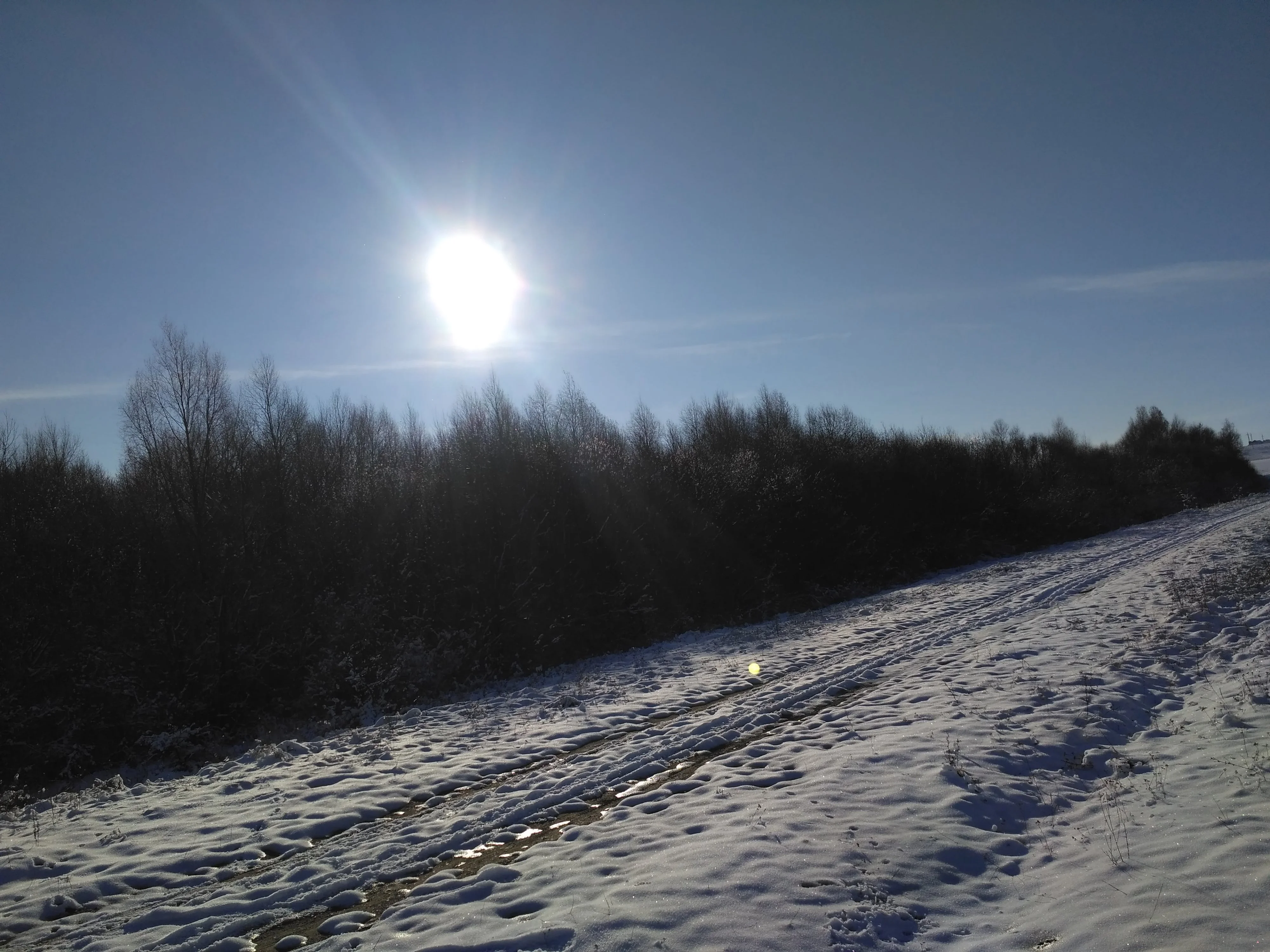IMG_20161114_112714.webp