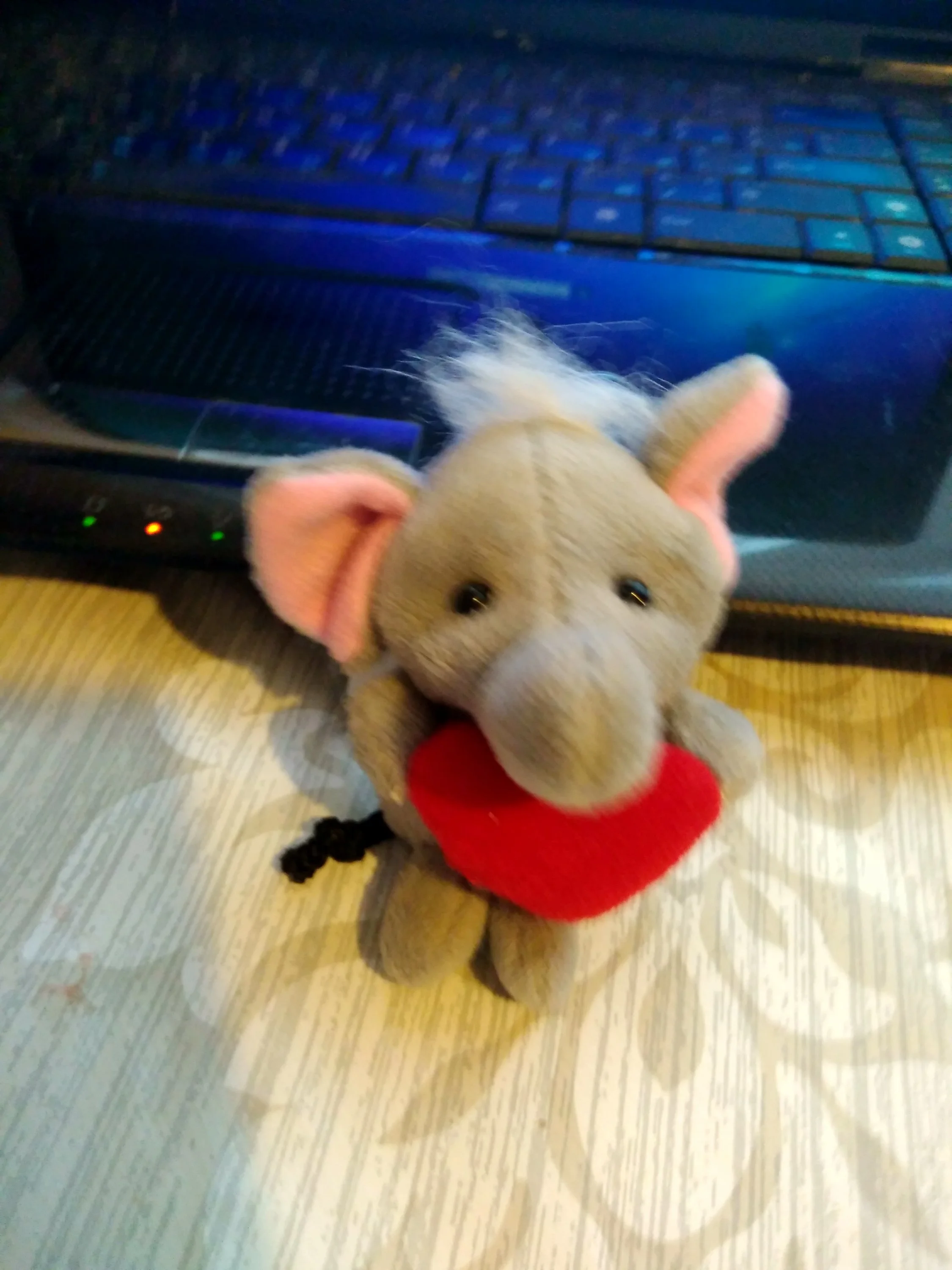 IMG_20161224_103156_HDR.webp