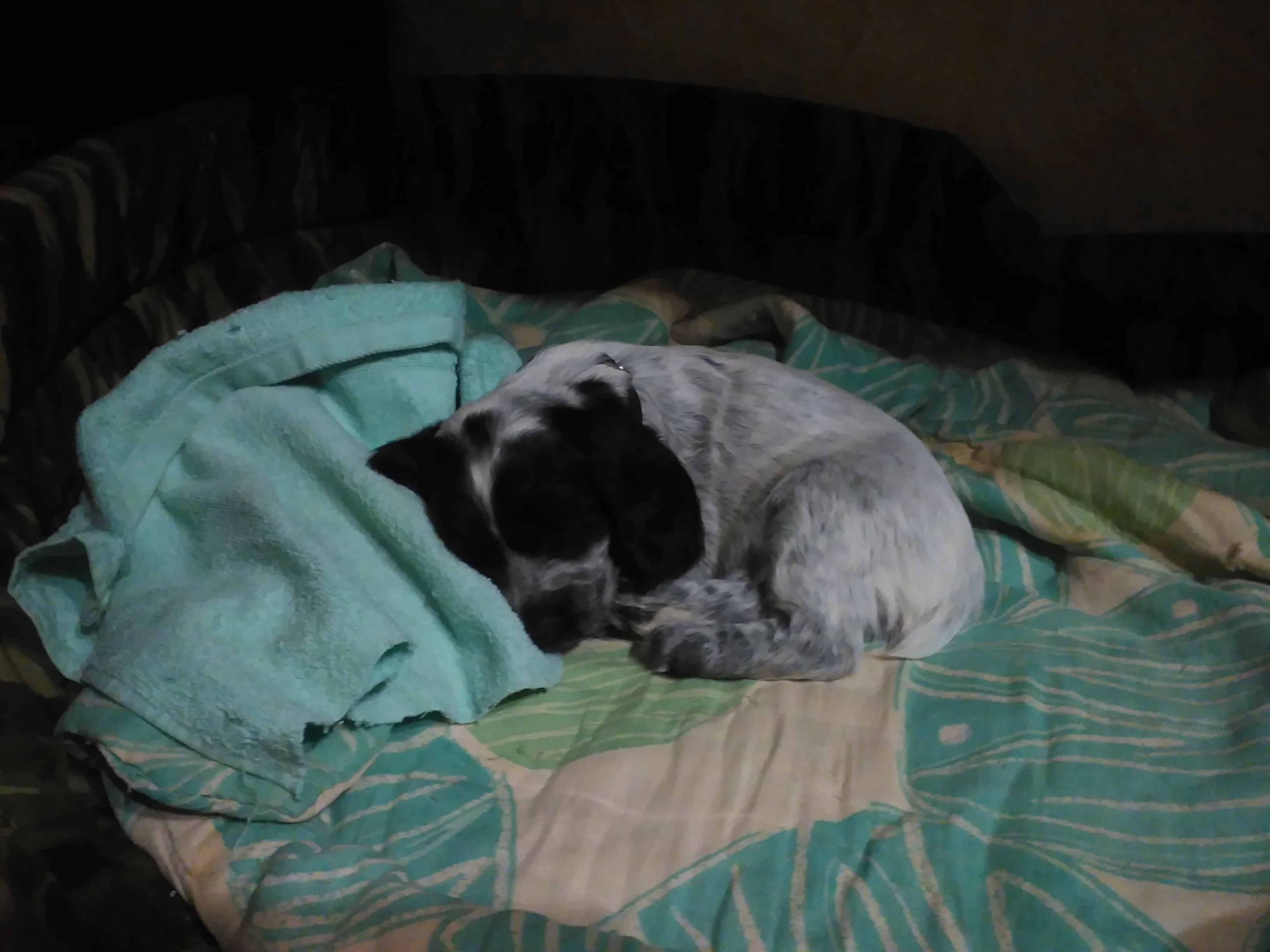 IMG_20170218_183643.webp
