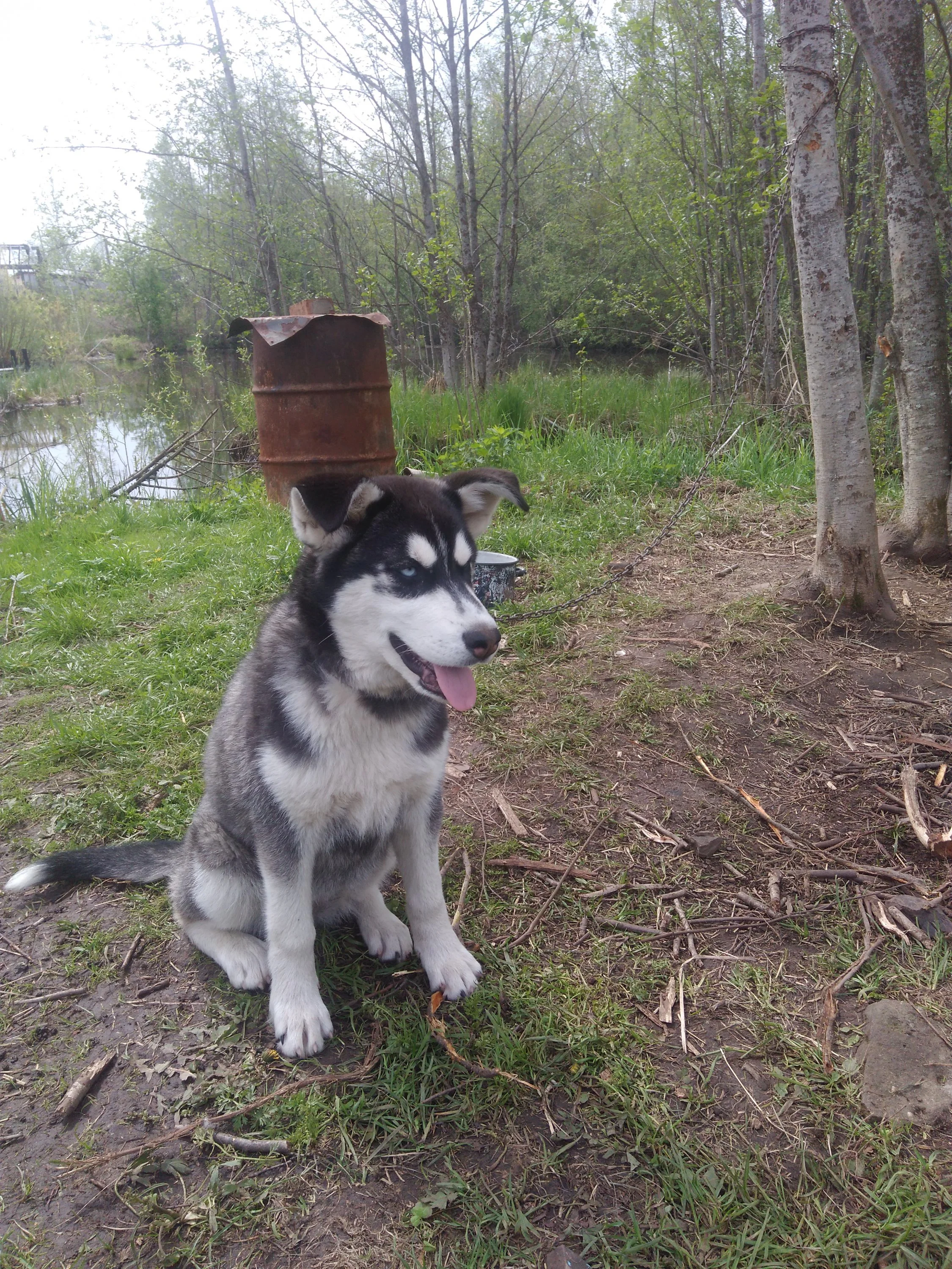 IMG_20170612_113345 (2).webp