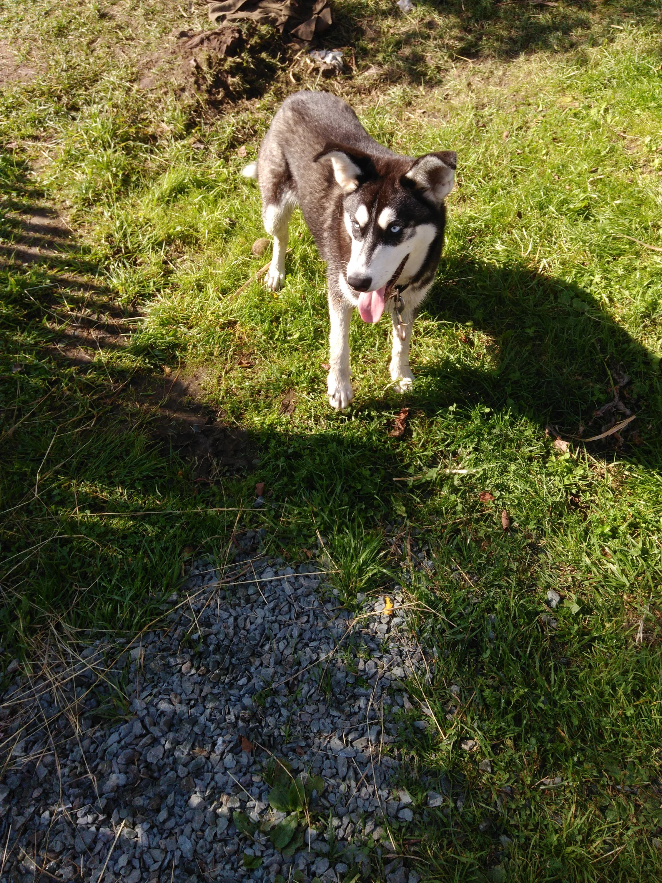 IMG_20170819_100933 (2).webp