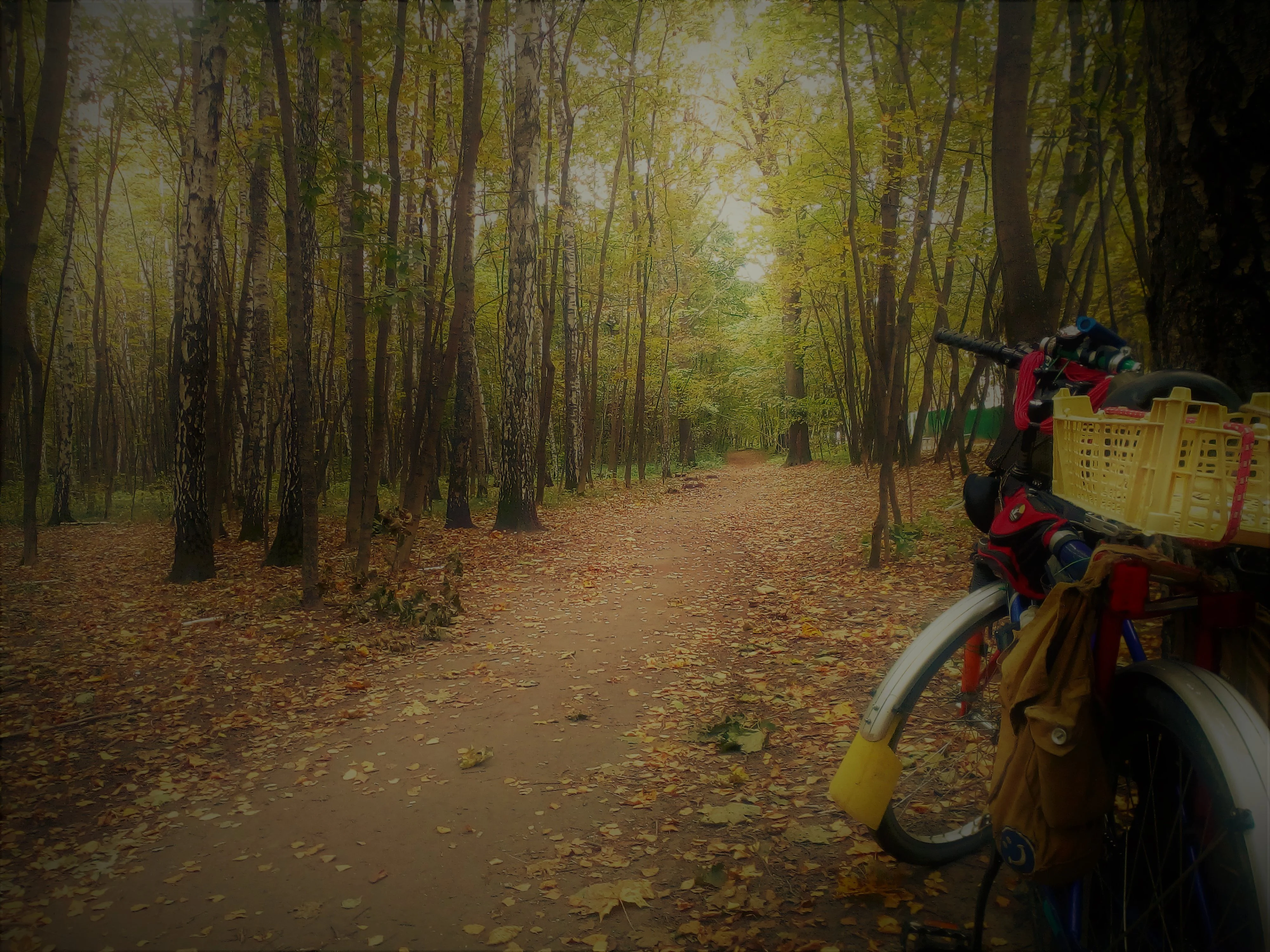 IMG_20171001_094609 (2).webp