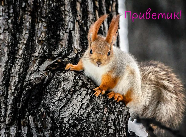 IMG_20171205_112019_.webp IMG_20171205_112019_.webp