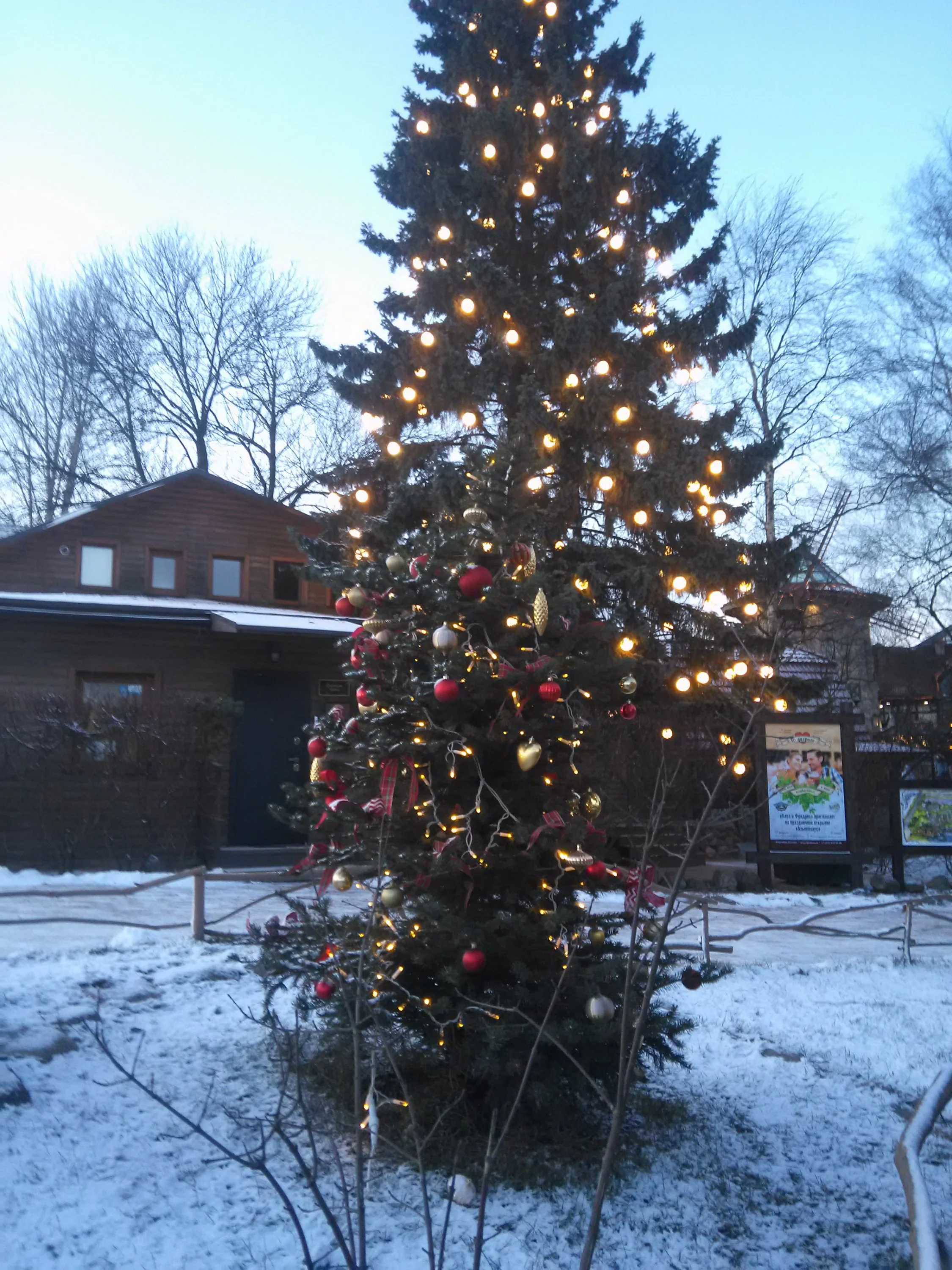 IMG_20180107_161451.webp IMG_20180107_161451.webp