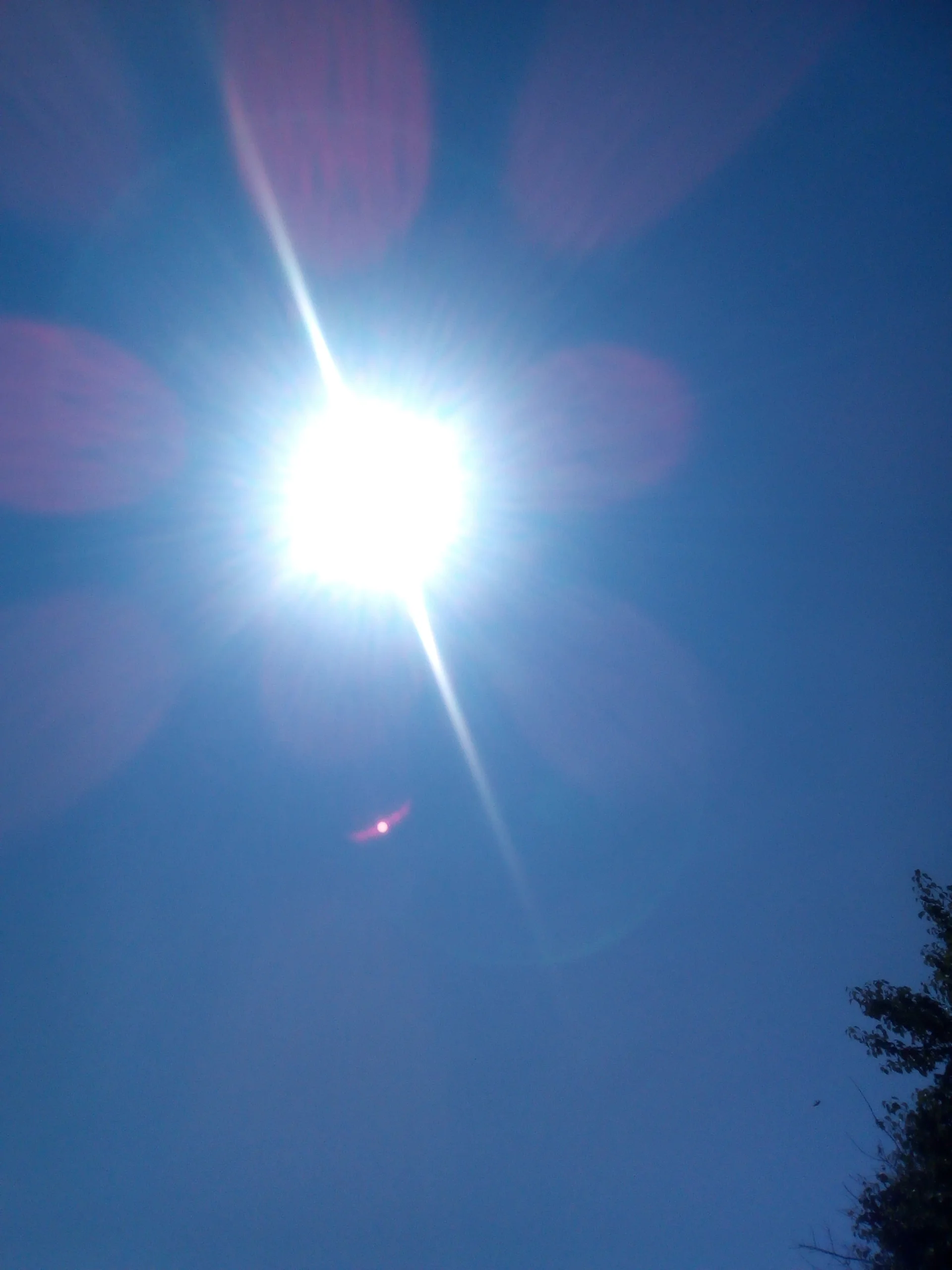 IMG_20180621_103348 (1).webp