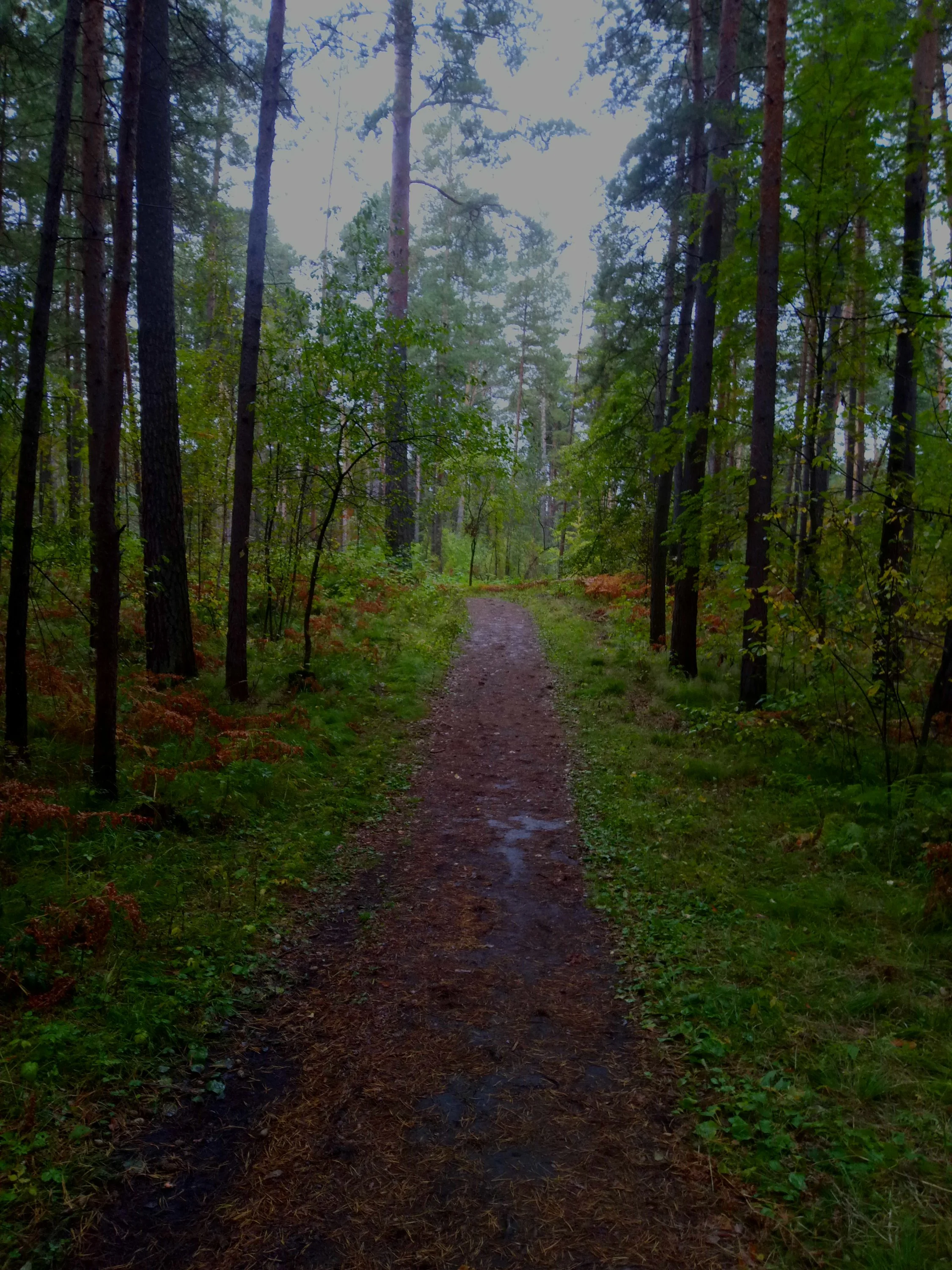 IMG_20180913_130622 (1).webp