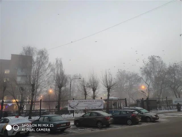 IMG_20181214_090905 (Small).webp