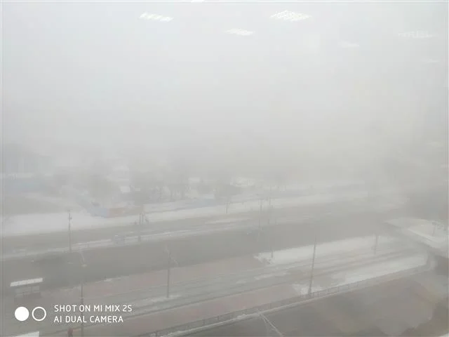 IMG_20181214_095631 (Small).webp