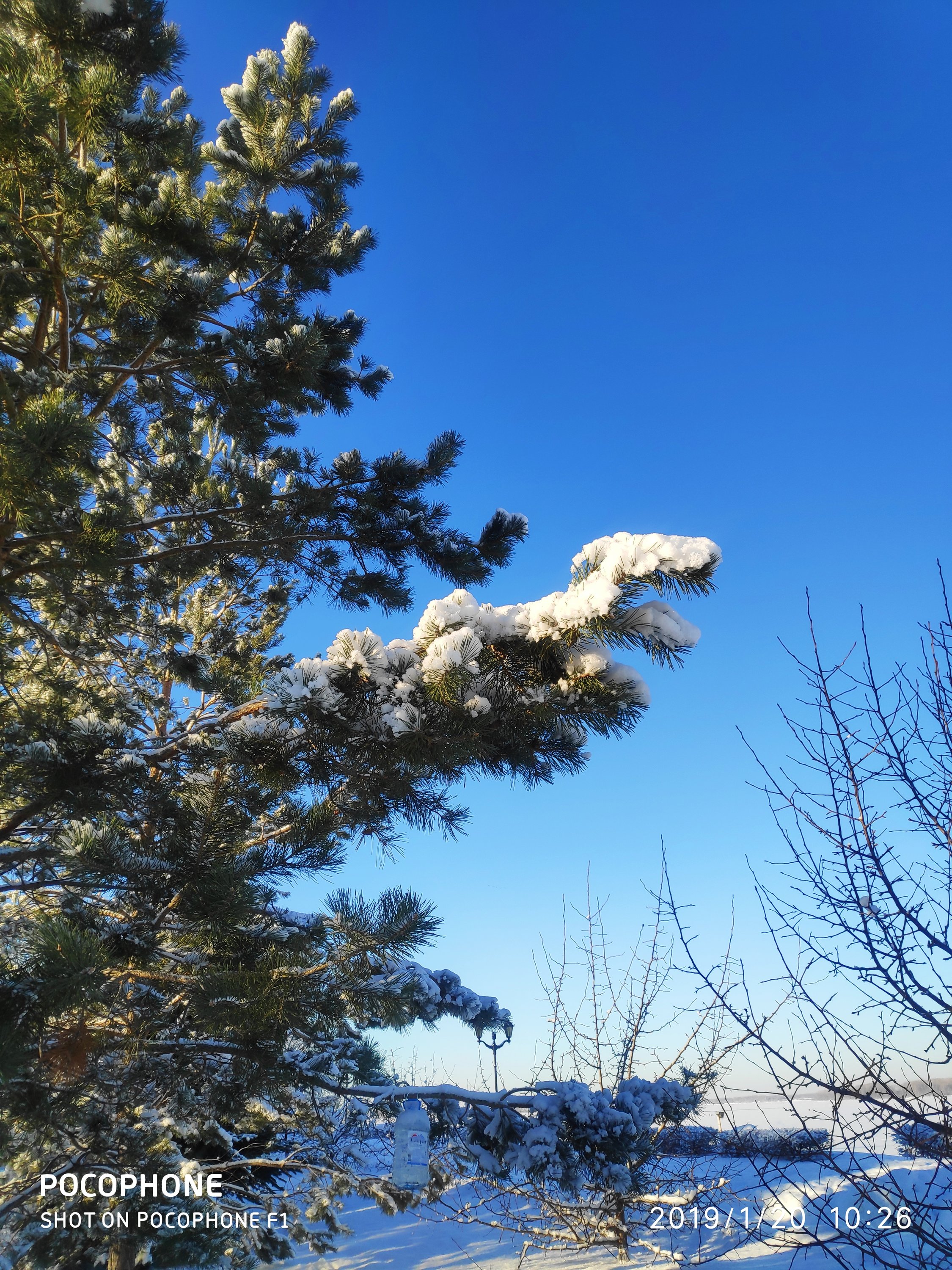 IMG_20190120_102654.jpg
