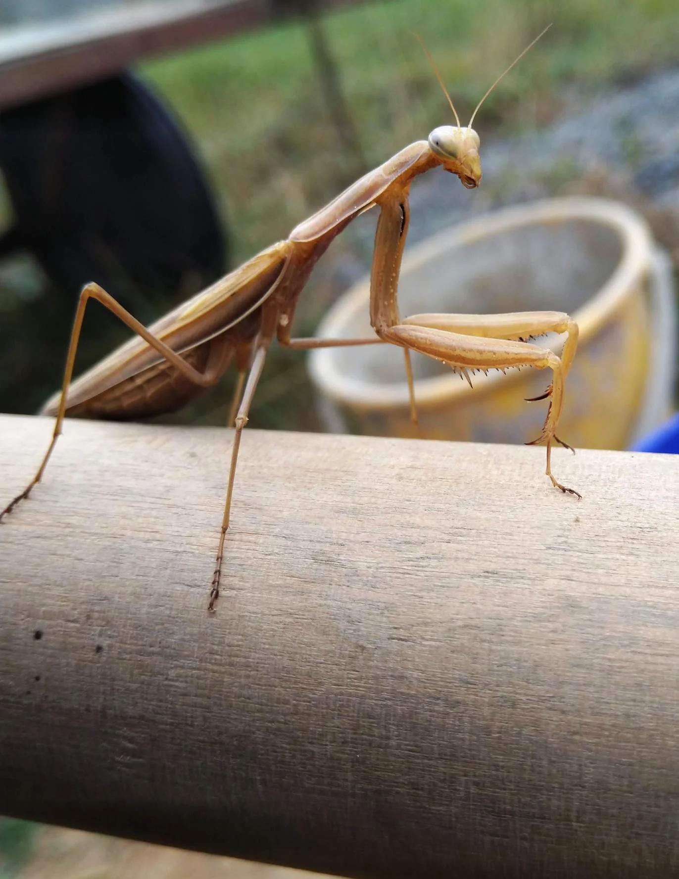 IMG_20191005_125432 (1).webp