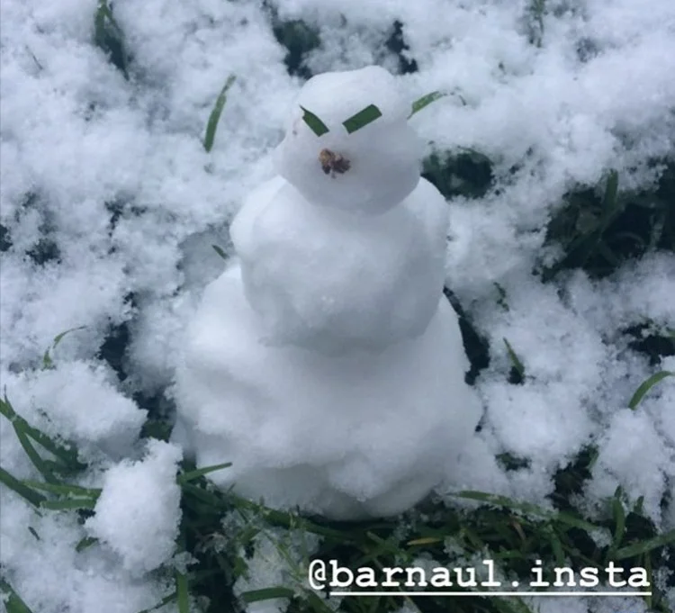 IMG_20191020_102408 (1).webp