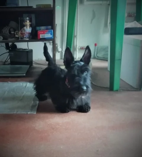 IMG_20191022_095722 (3).webp