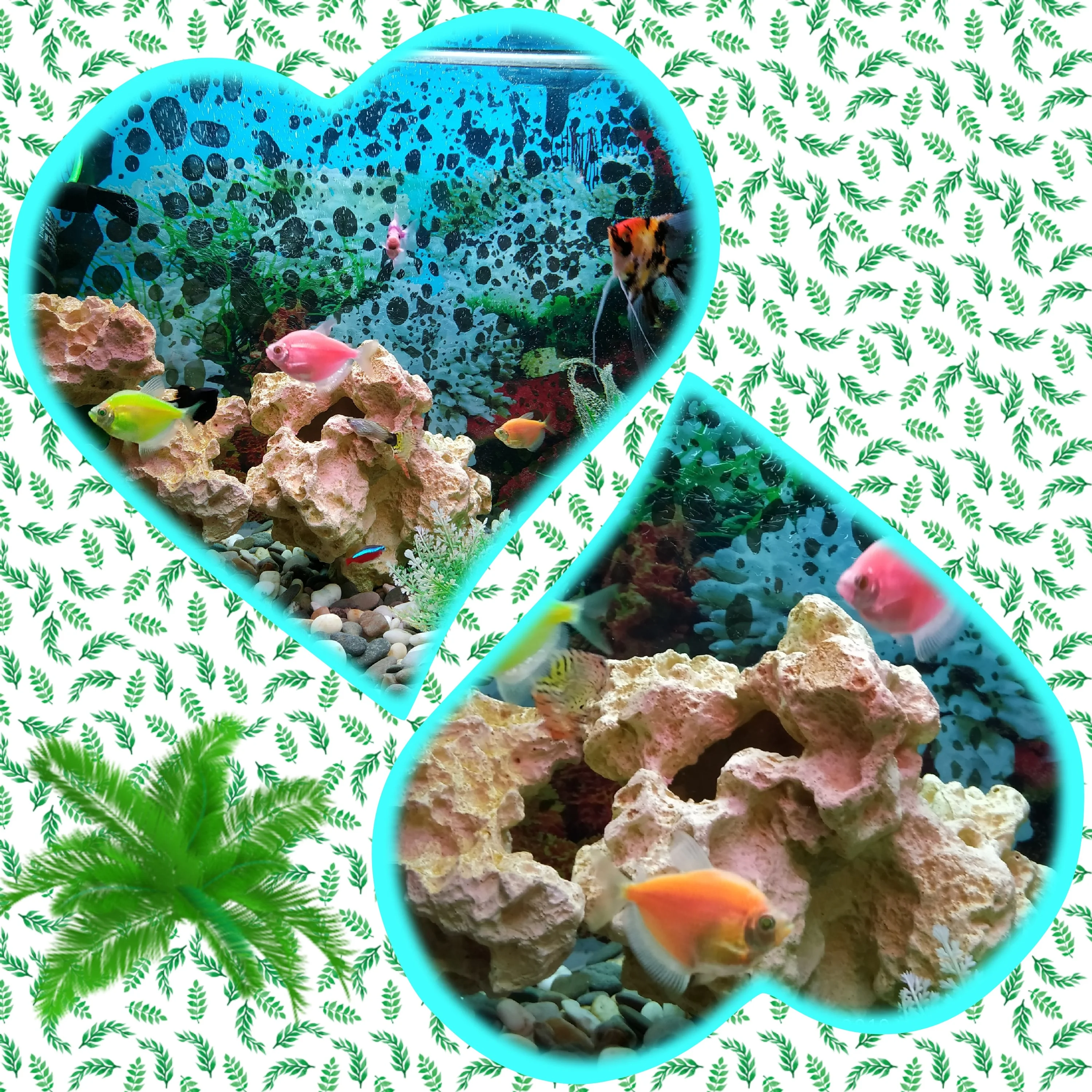 IMG_20191231_152204_ (1).webp