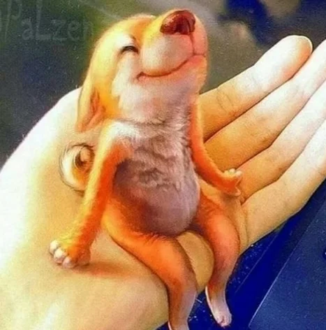 IMG_2020-04-13 14:05.webp