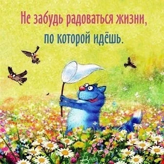 IMG_2020-04-21 21:43.webp