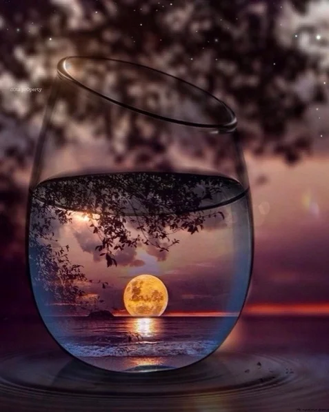 IMG_2020-04-25 22:51.webp