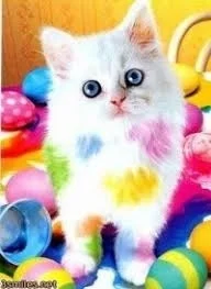 IMG_2020-04-30 10:01.webp