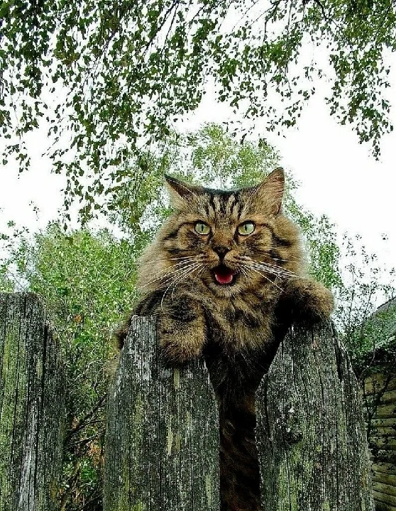 IMG_2020-05-23 07:40.webp