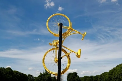 IMG_2020-06-03 20:27.webp