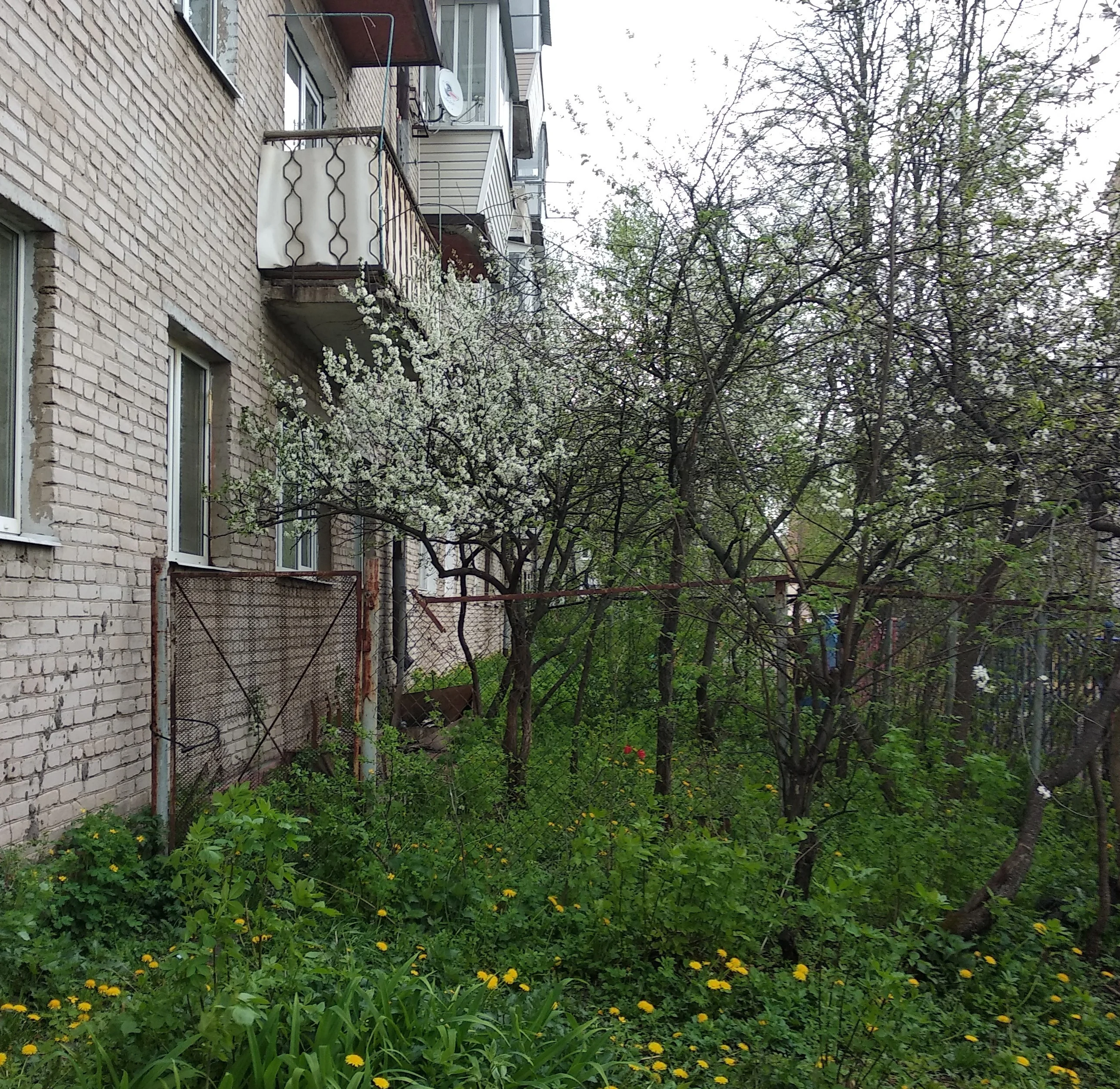 IMG_20200506_141424 (2).webp