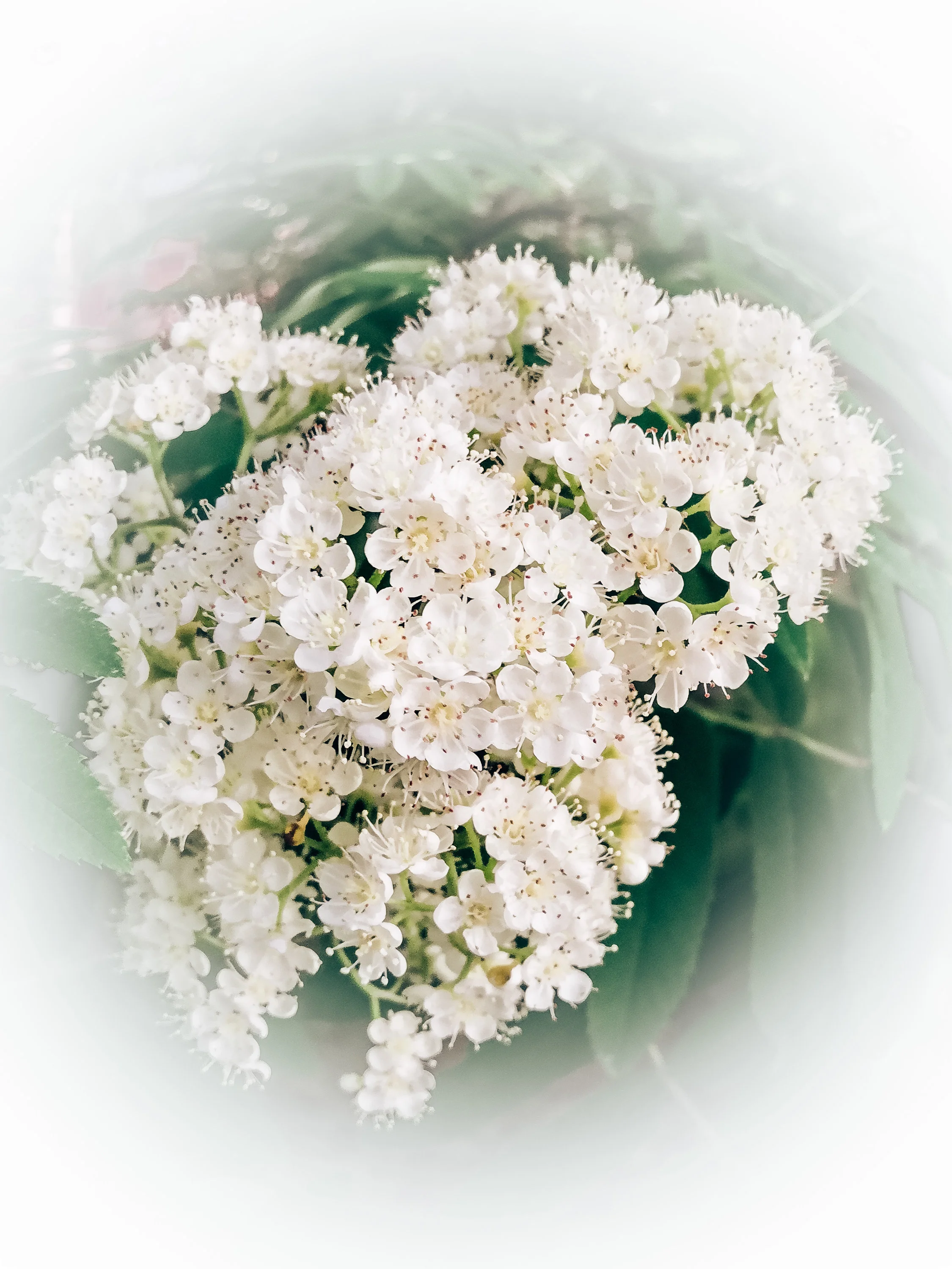 IMG_20200620_000514 (1).webp