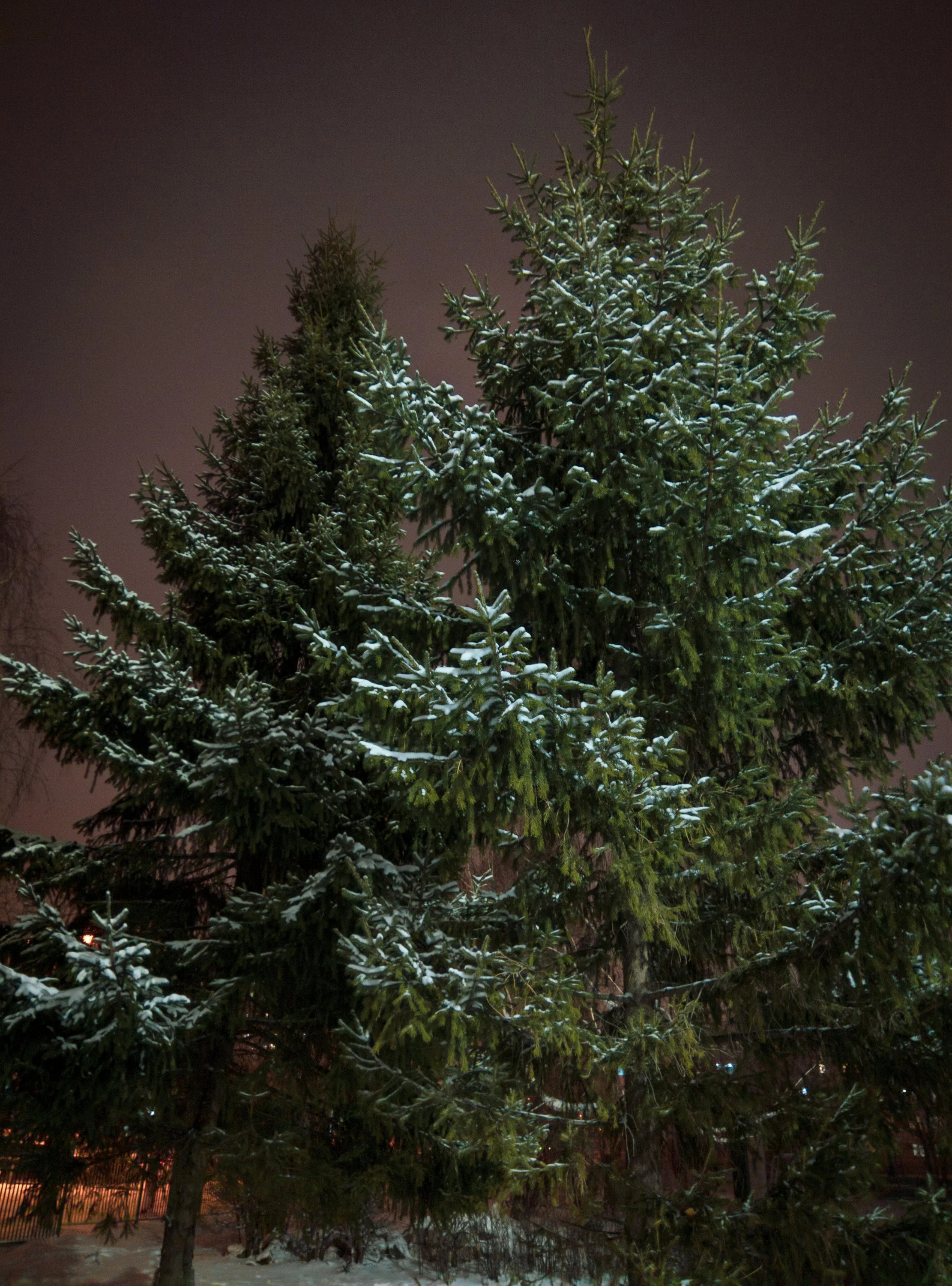 IMG_20201125_182421 (1).webp