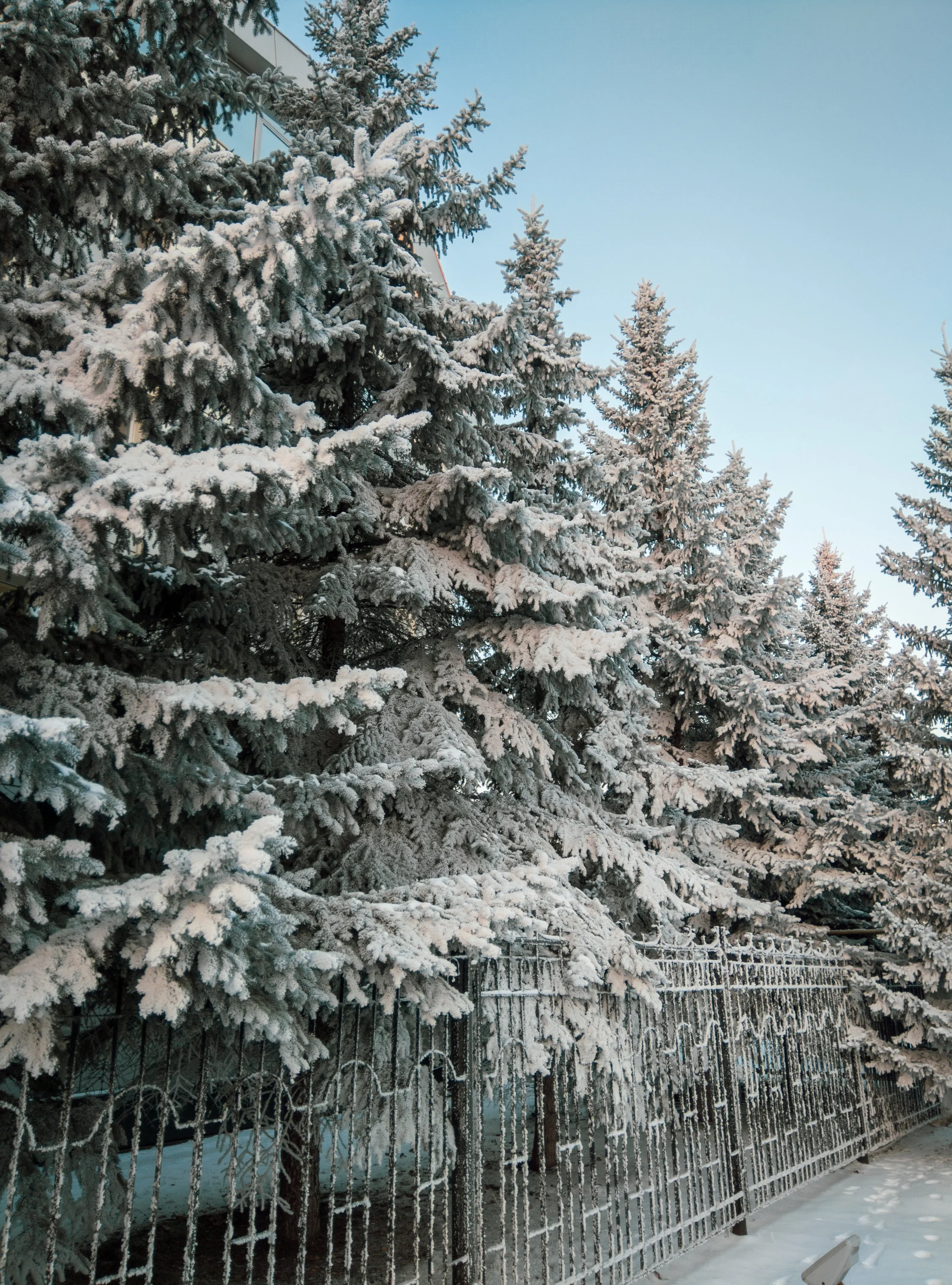 IMG_20201204_081654 (1).webp