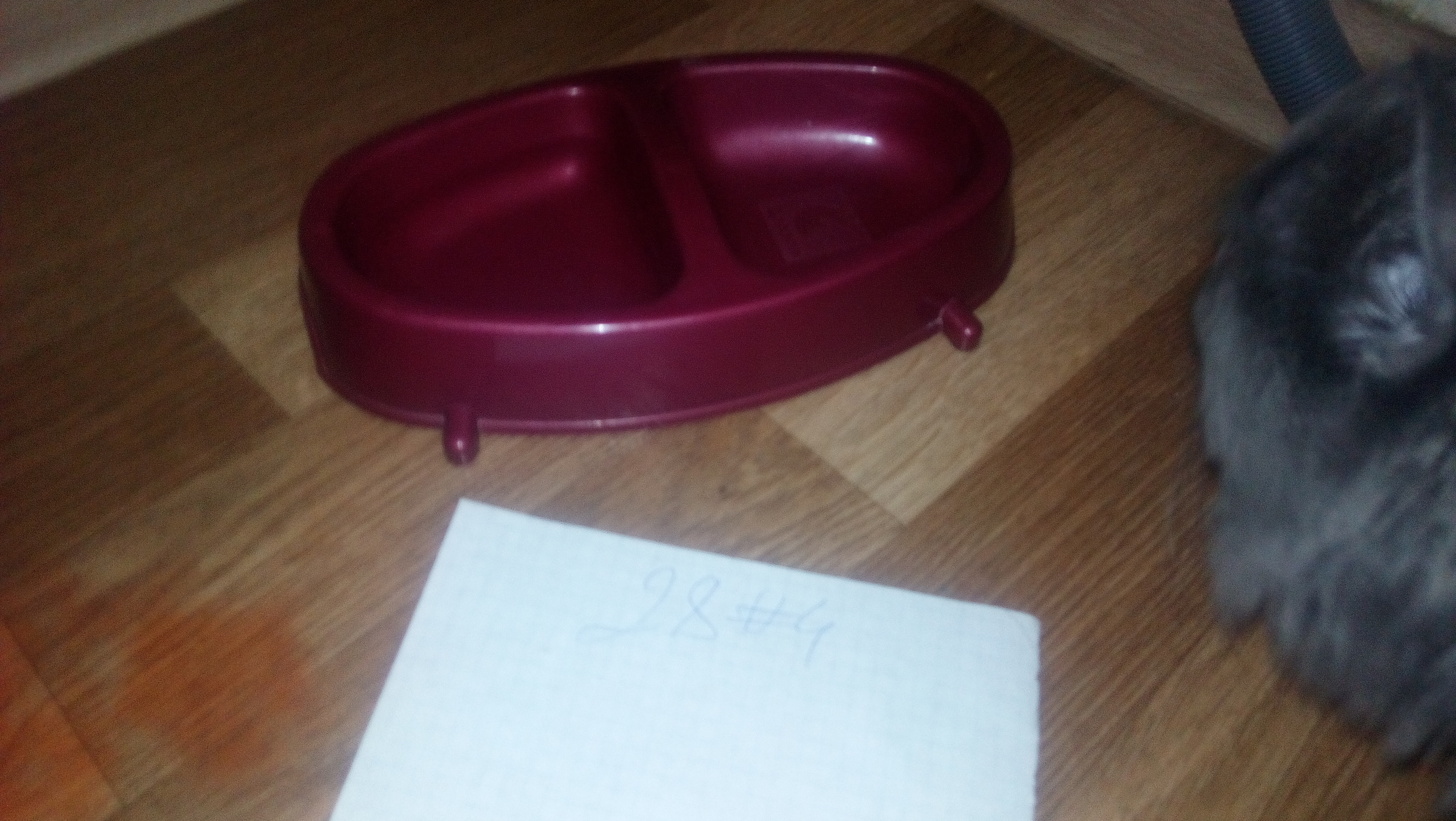 IMG_20201207_140826.jpg
