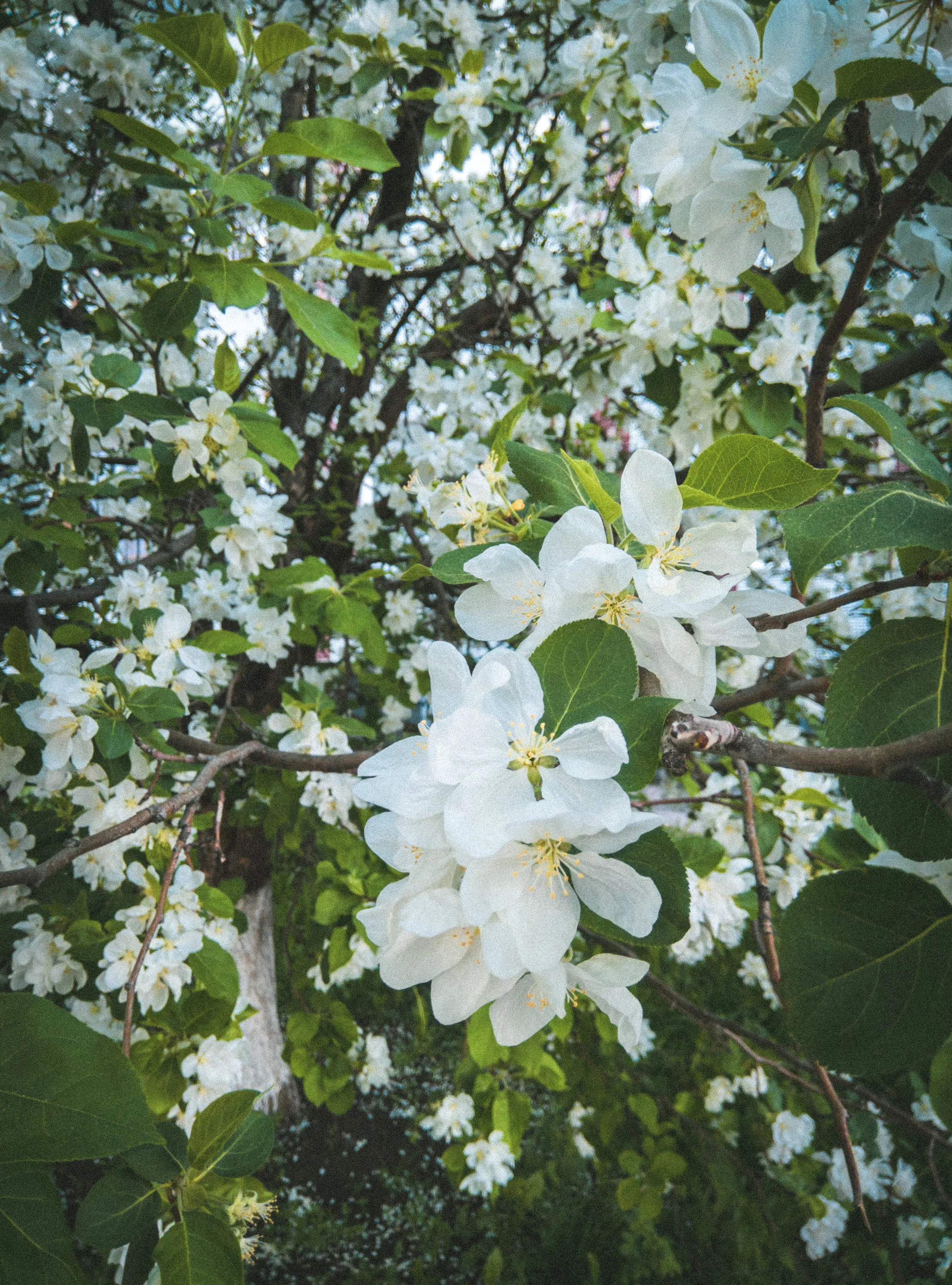 IMG_20210514_191828 (1).webp