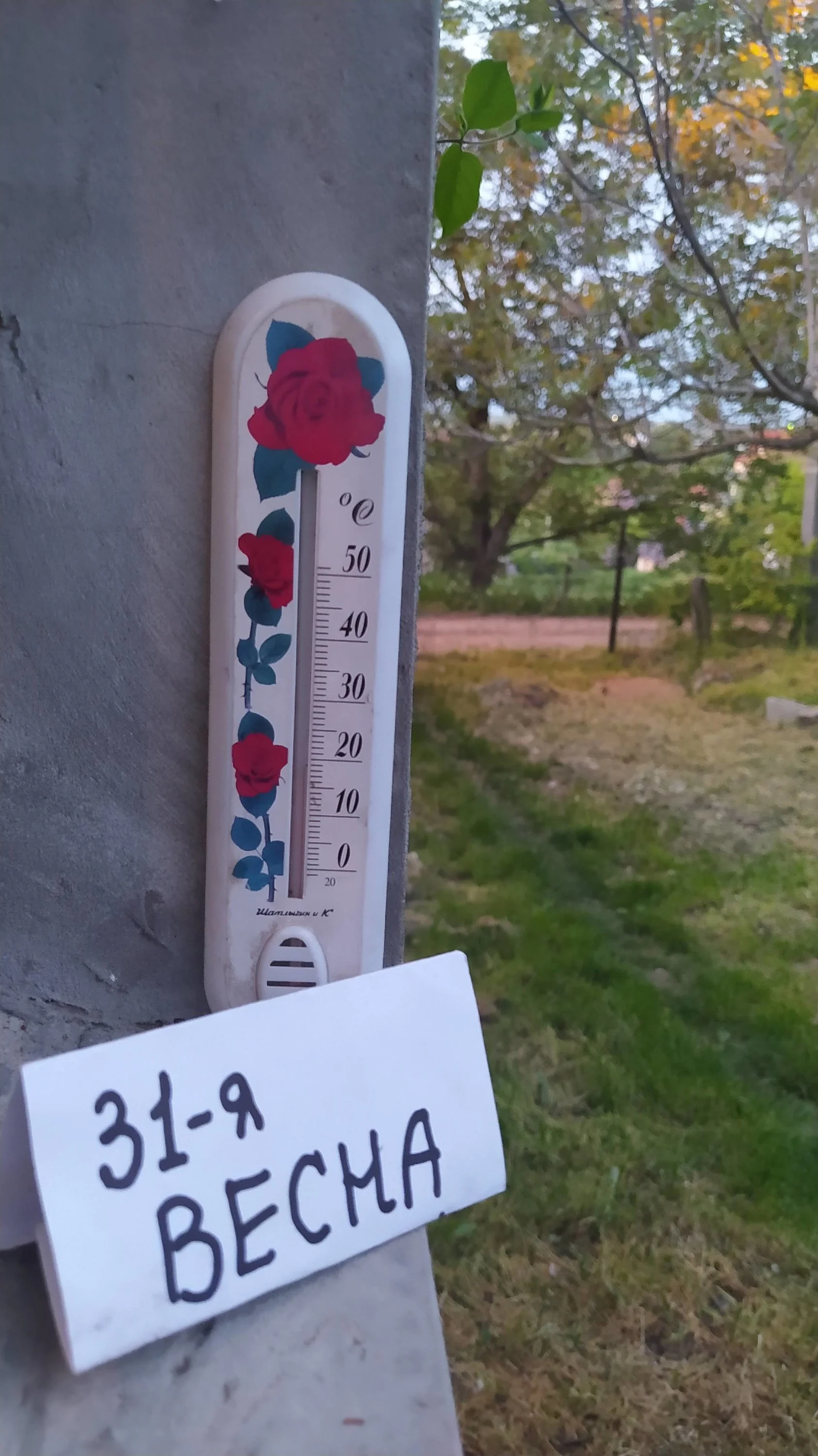 IMG_20210516_204700 (1).webp