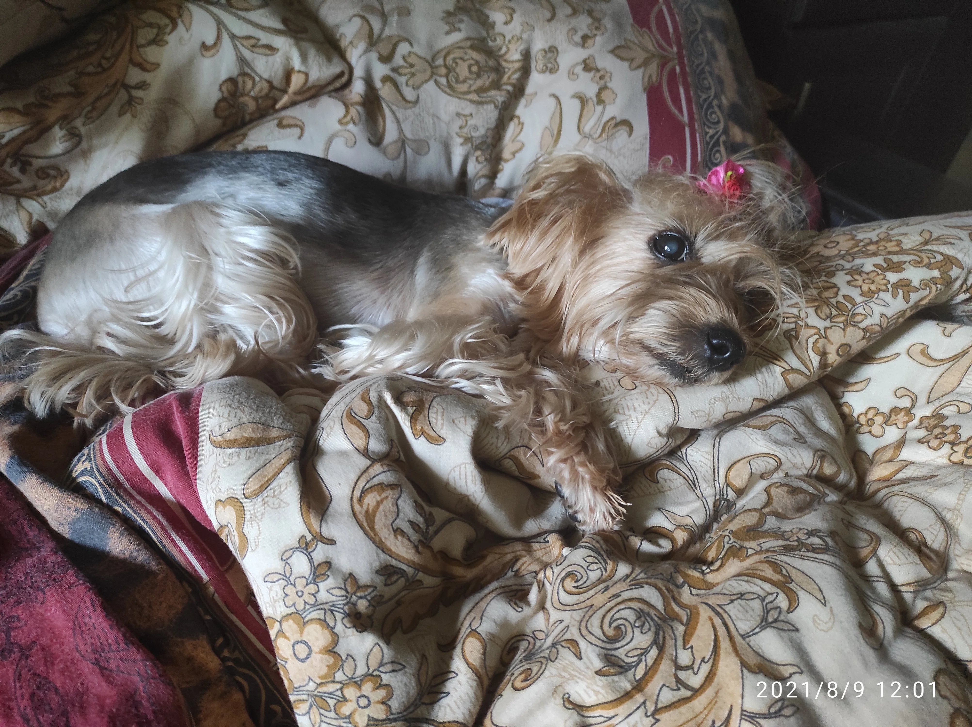 IMG_20210809_120141 (1).webp