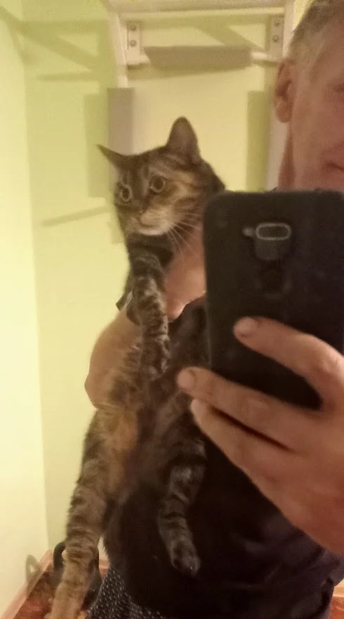 IMG_20210811_214035 (1).webp